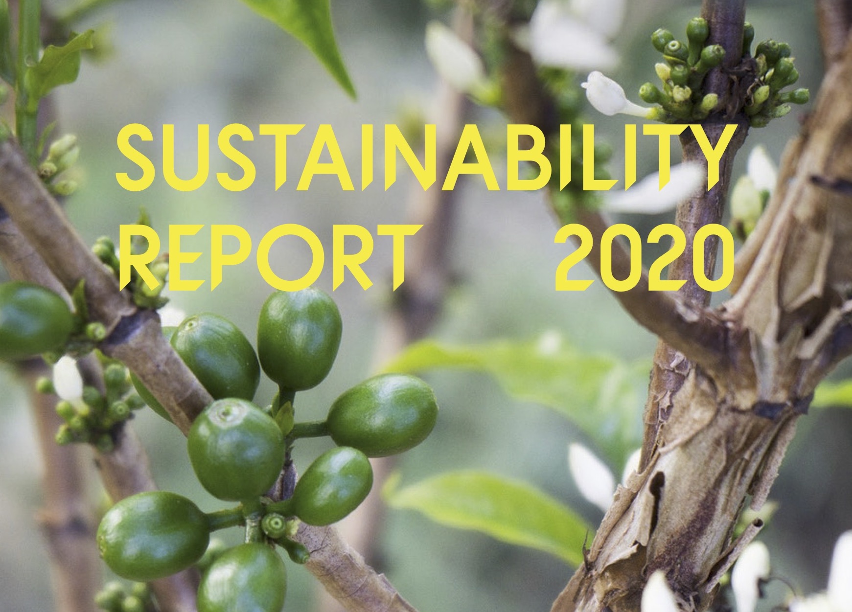 Sustainability Report 2020