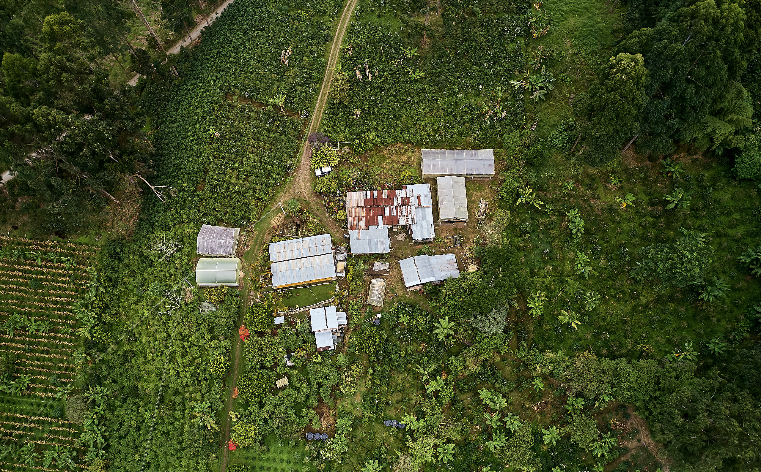 Visiting Jaime Casallas | Colombia