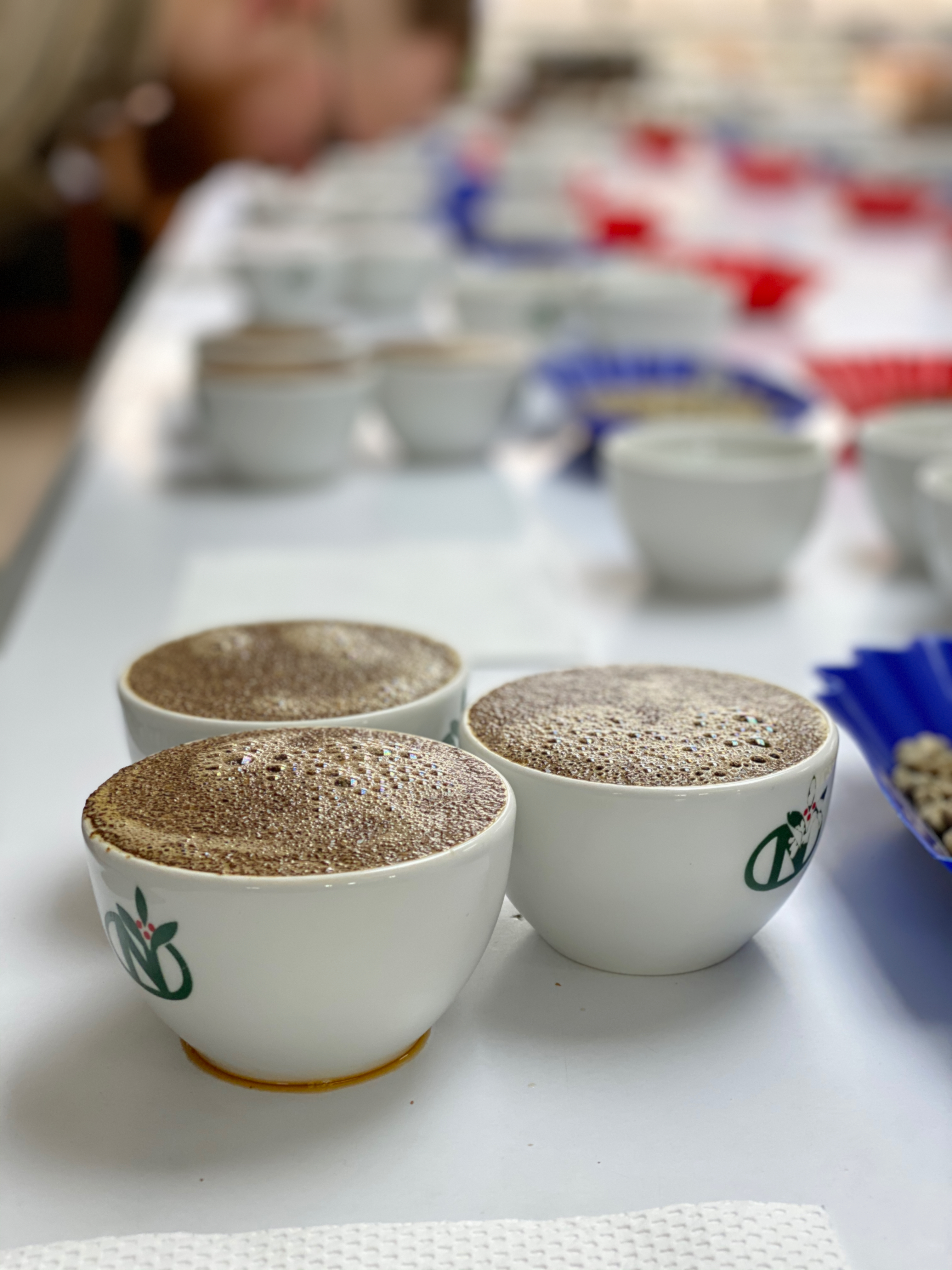 Cupping at Tropical