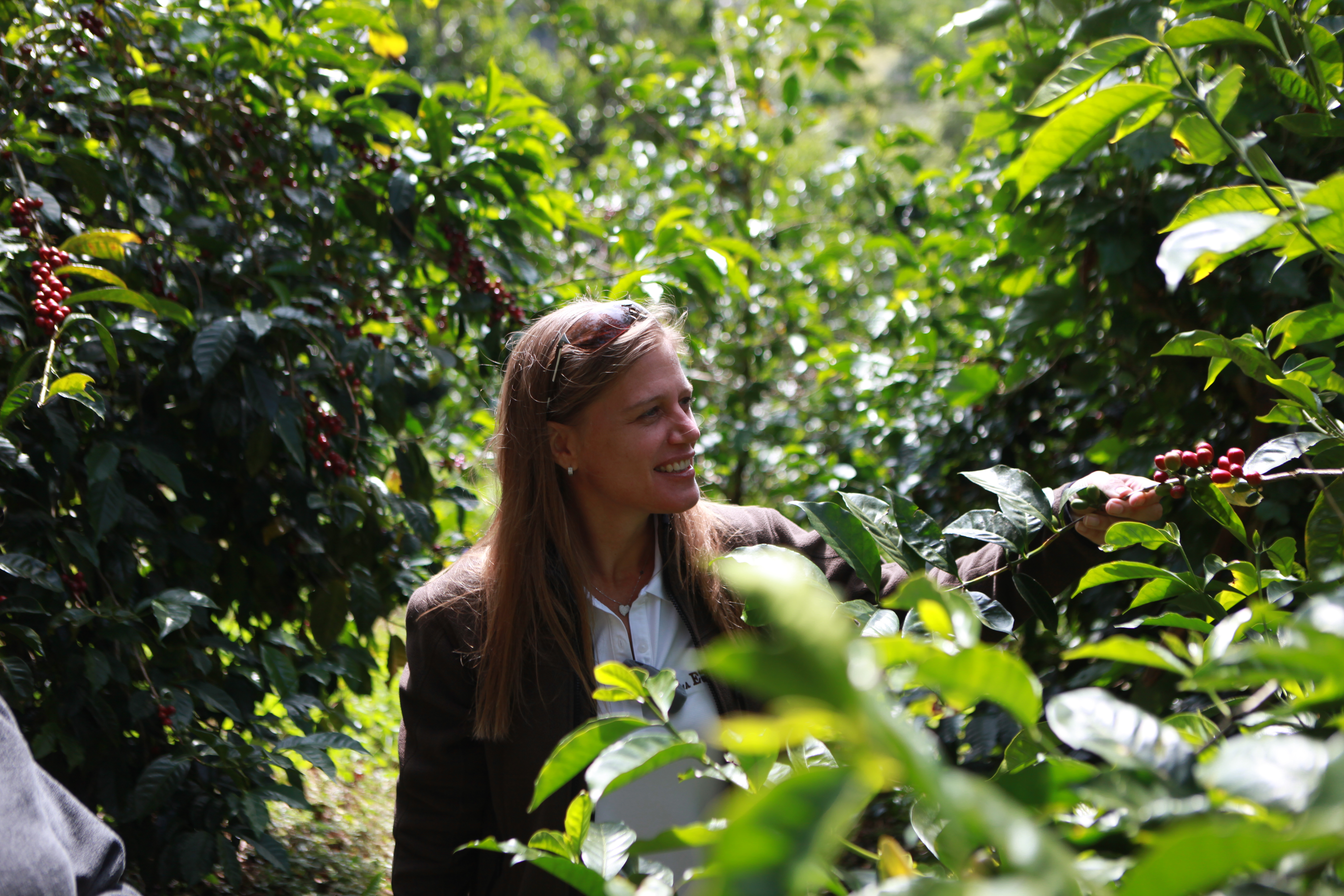 Rachel Peterson in their coffee fields
