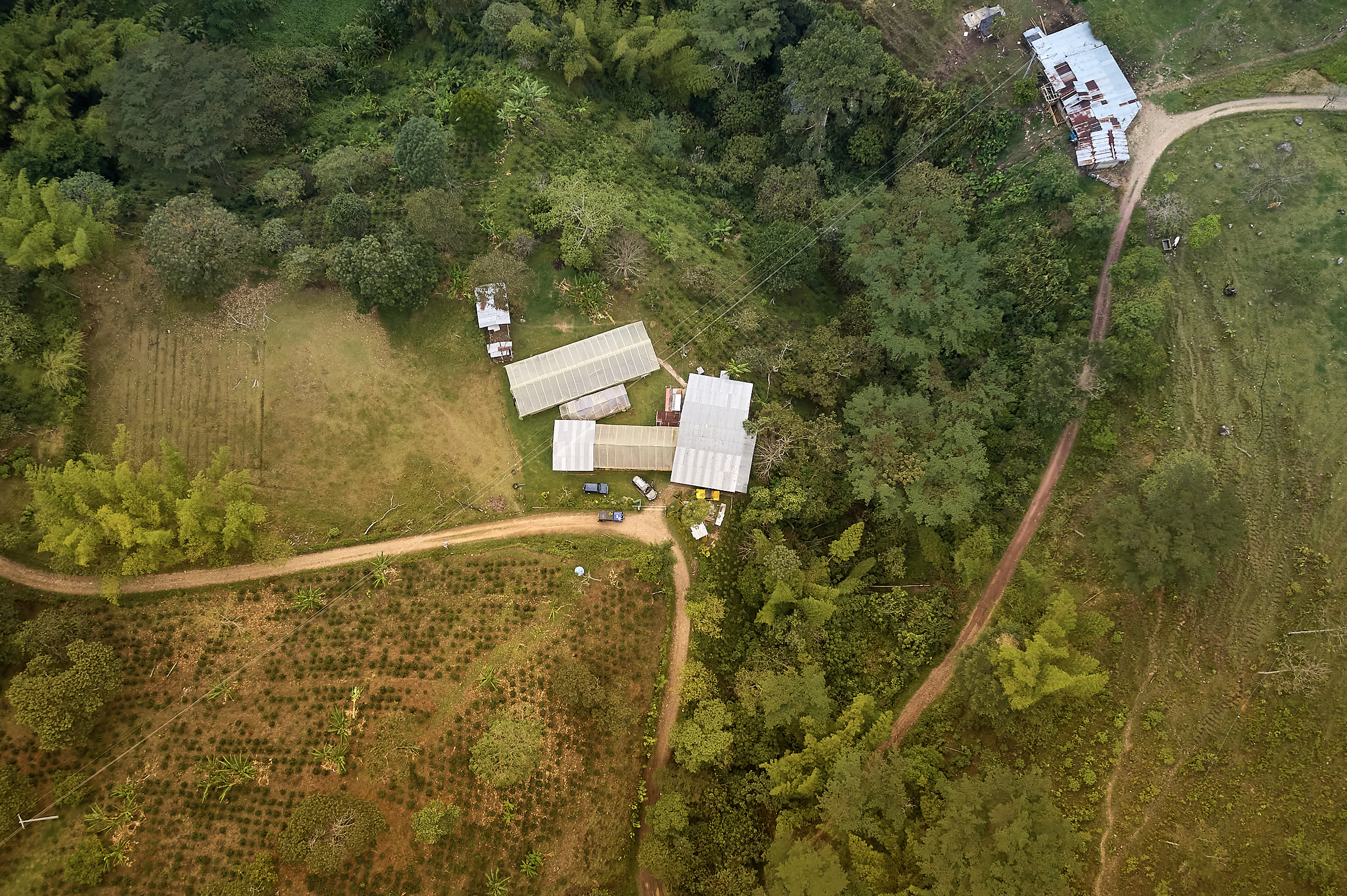 Their farm seen from above