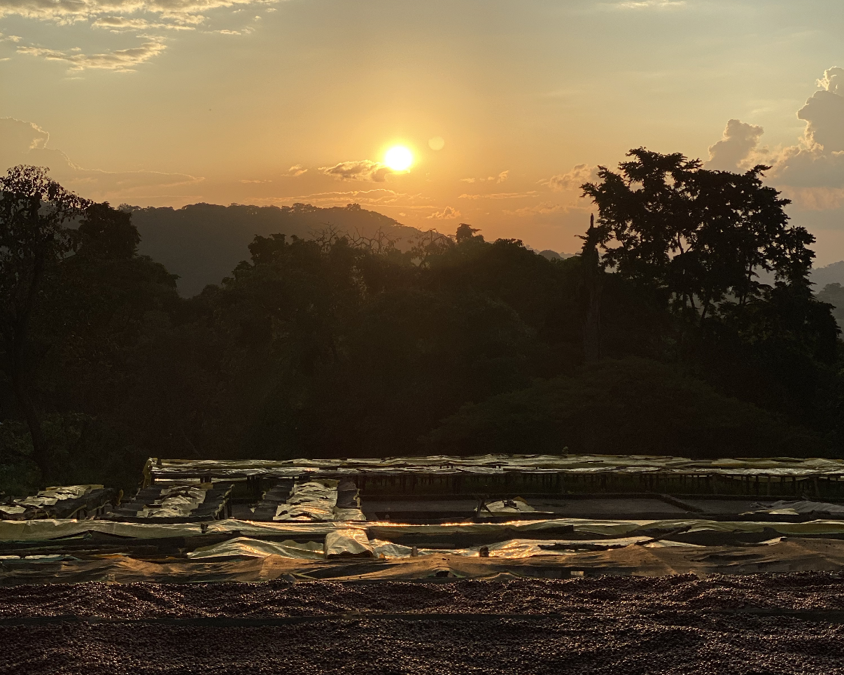 Sunset viewed from the drying tables at Akmel Nuri's