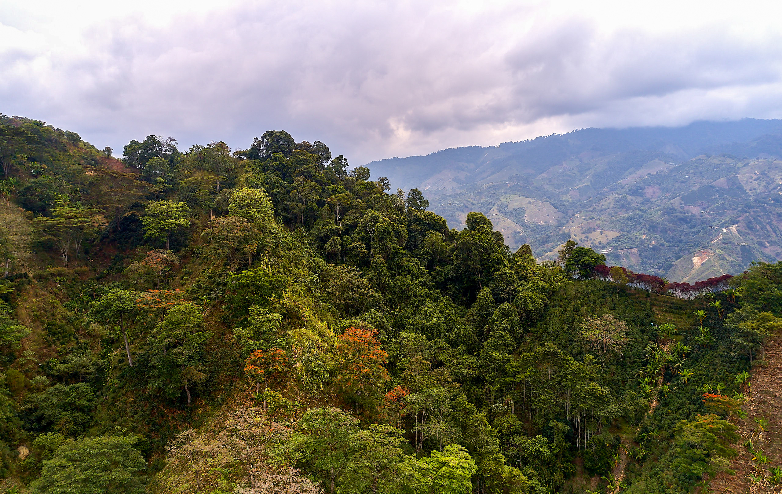 View over Tolima, Colombia 