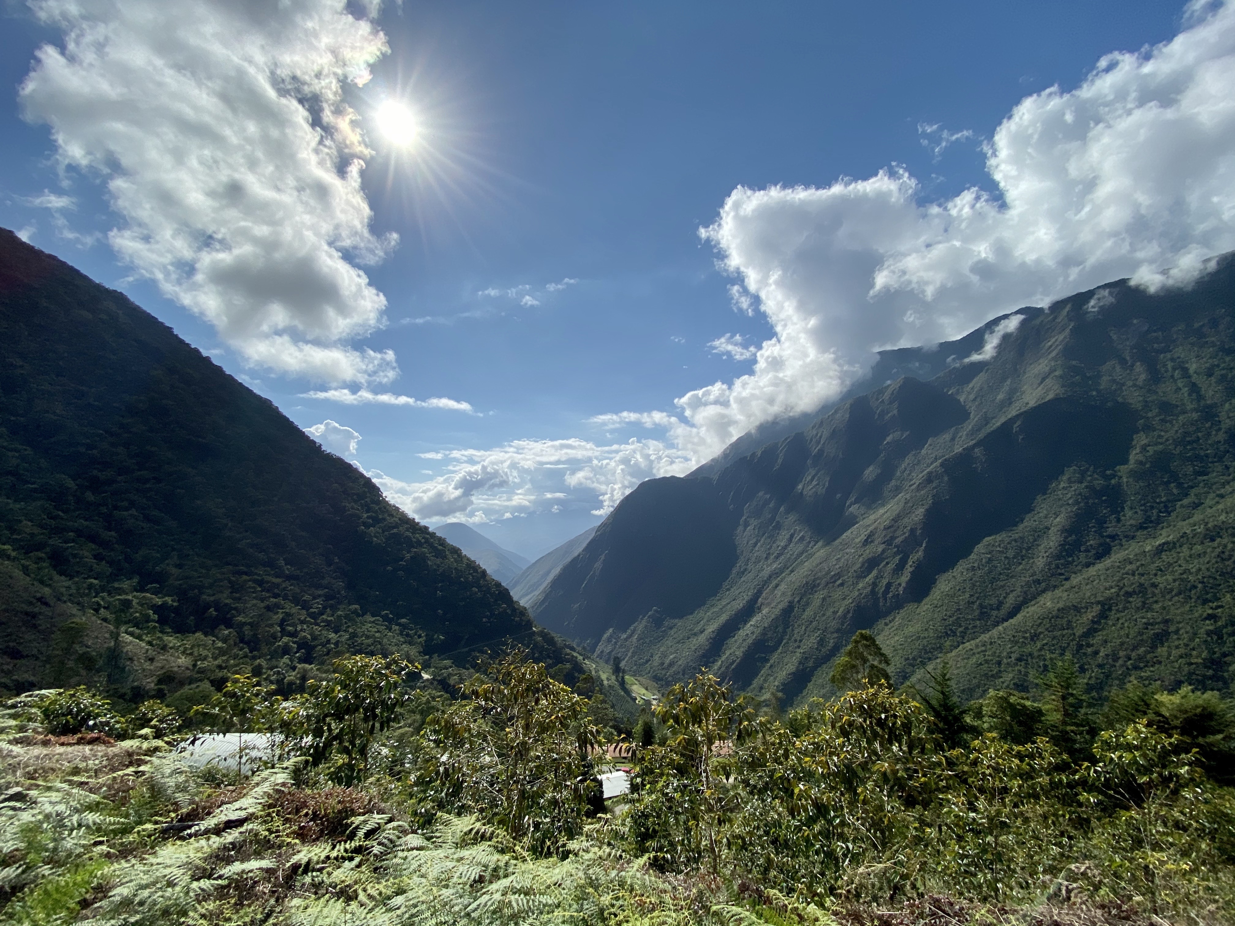 The view from Finca Takesi