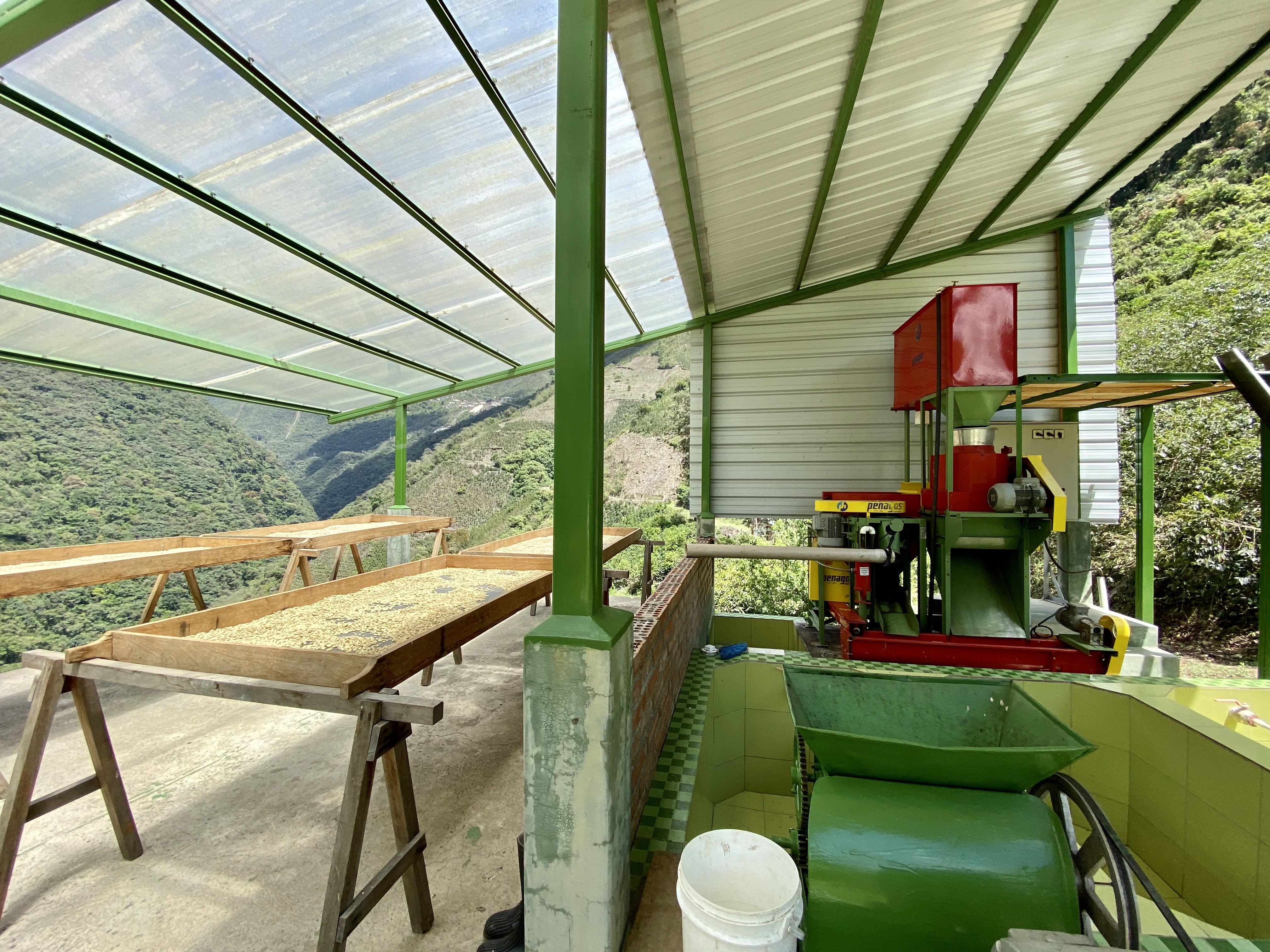 Small, neat setup for washing the coffee including raised beds