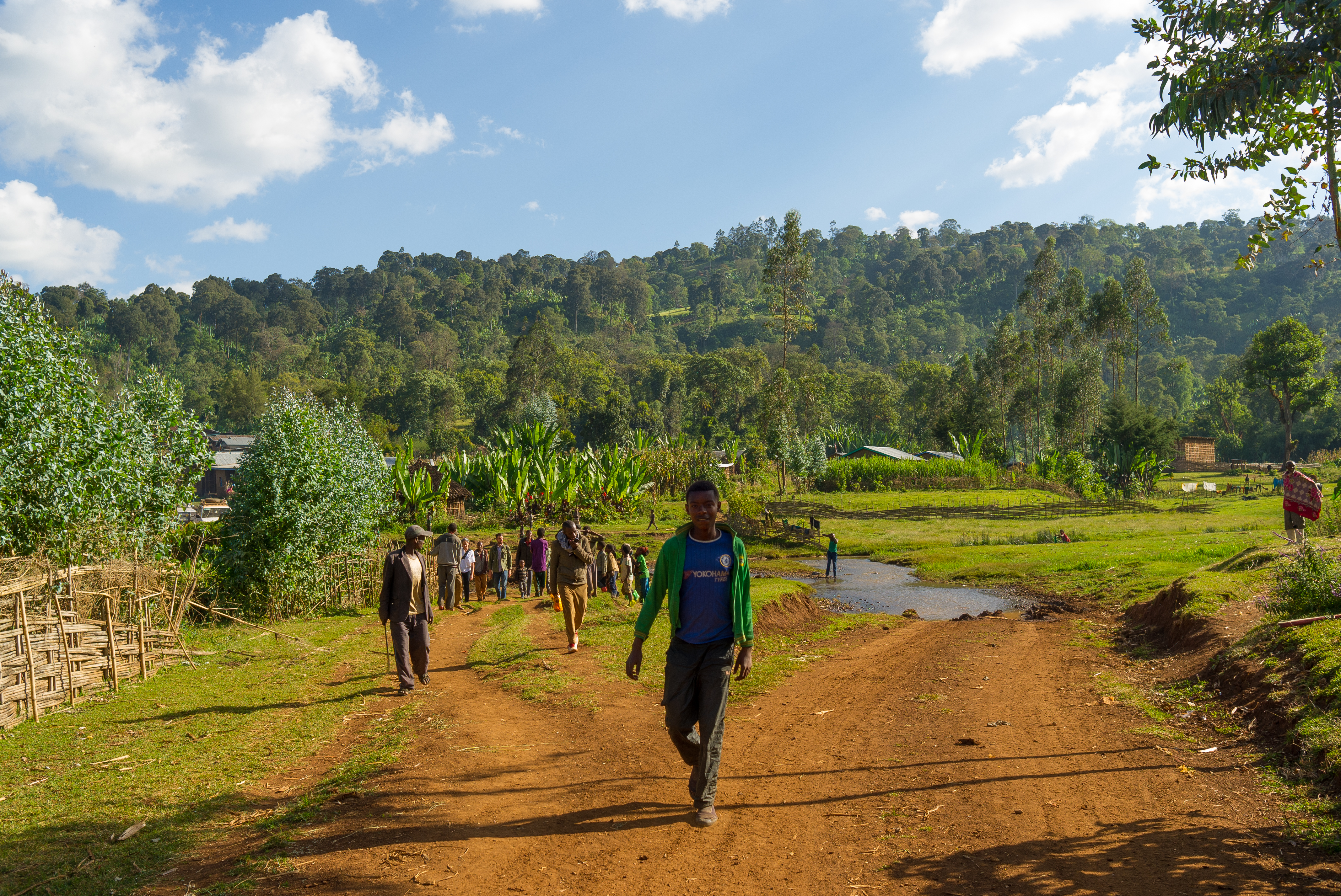 A beautiful scenery stands in contrast to the terrible situation in Ethiopia at the moment