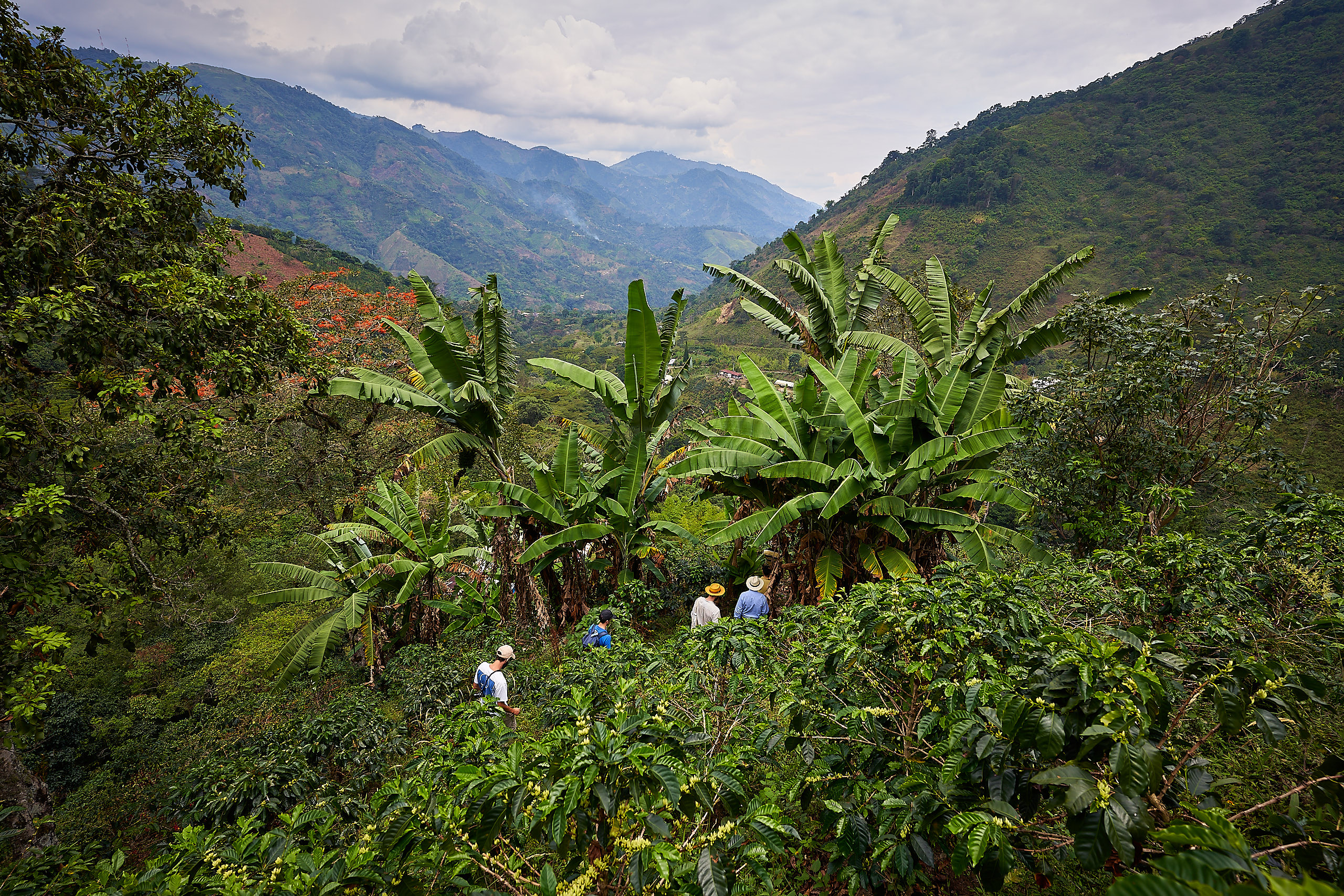 The view over Enciso's farm 