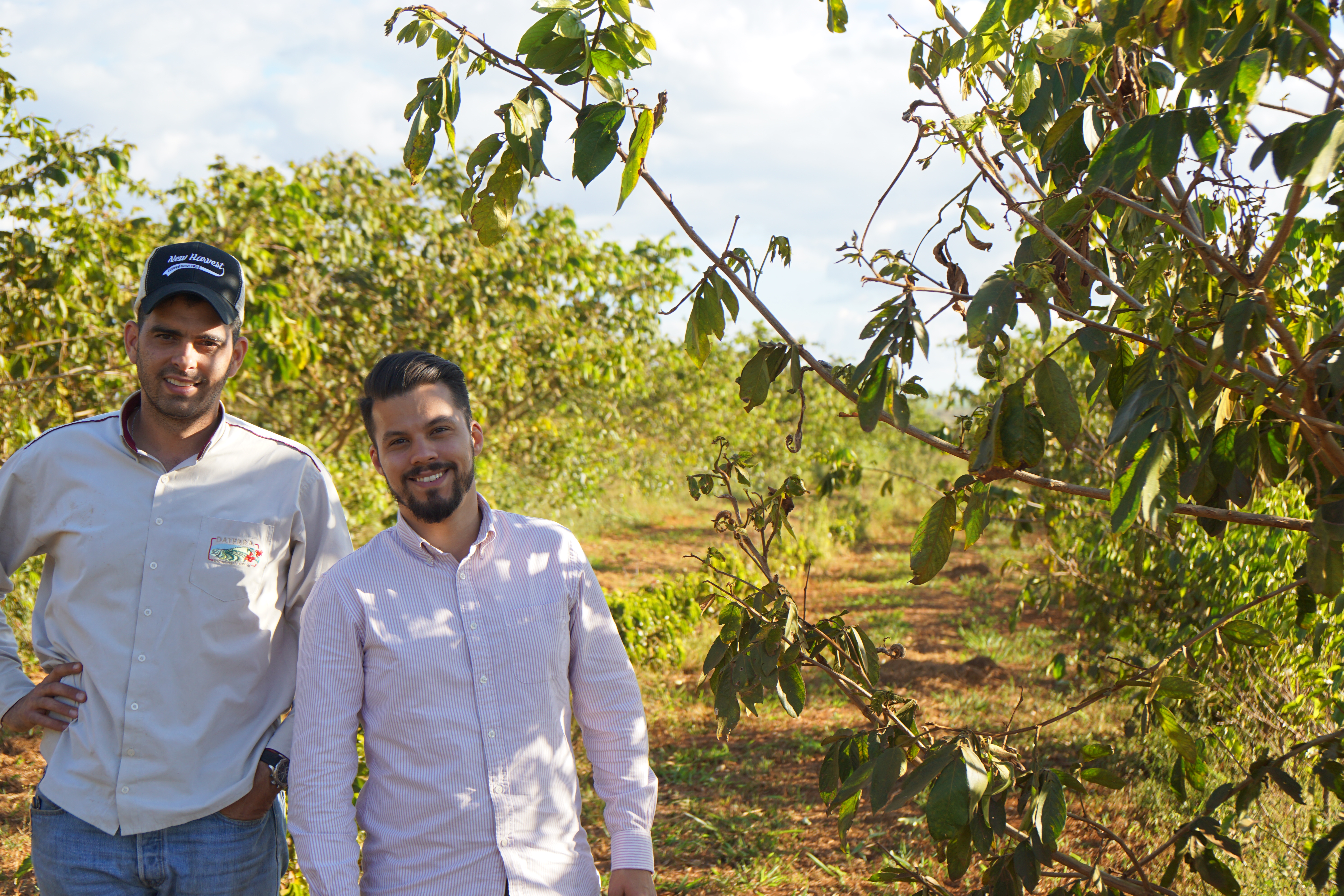 The team at Daterra on Our Plot