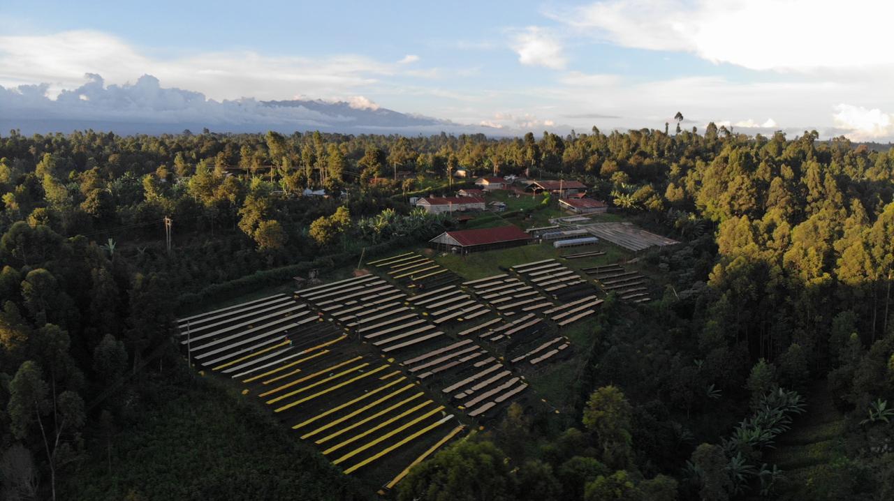 View over the drying tables