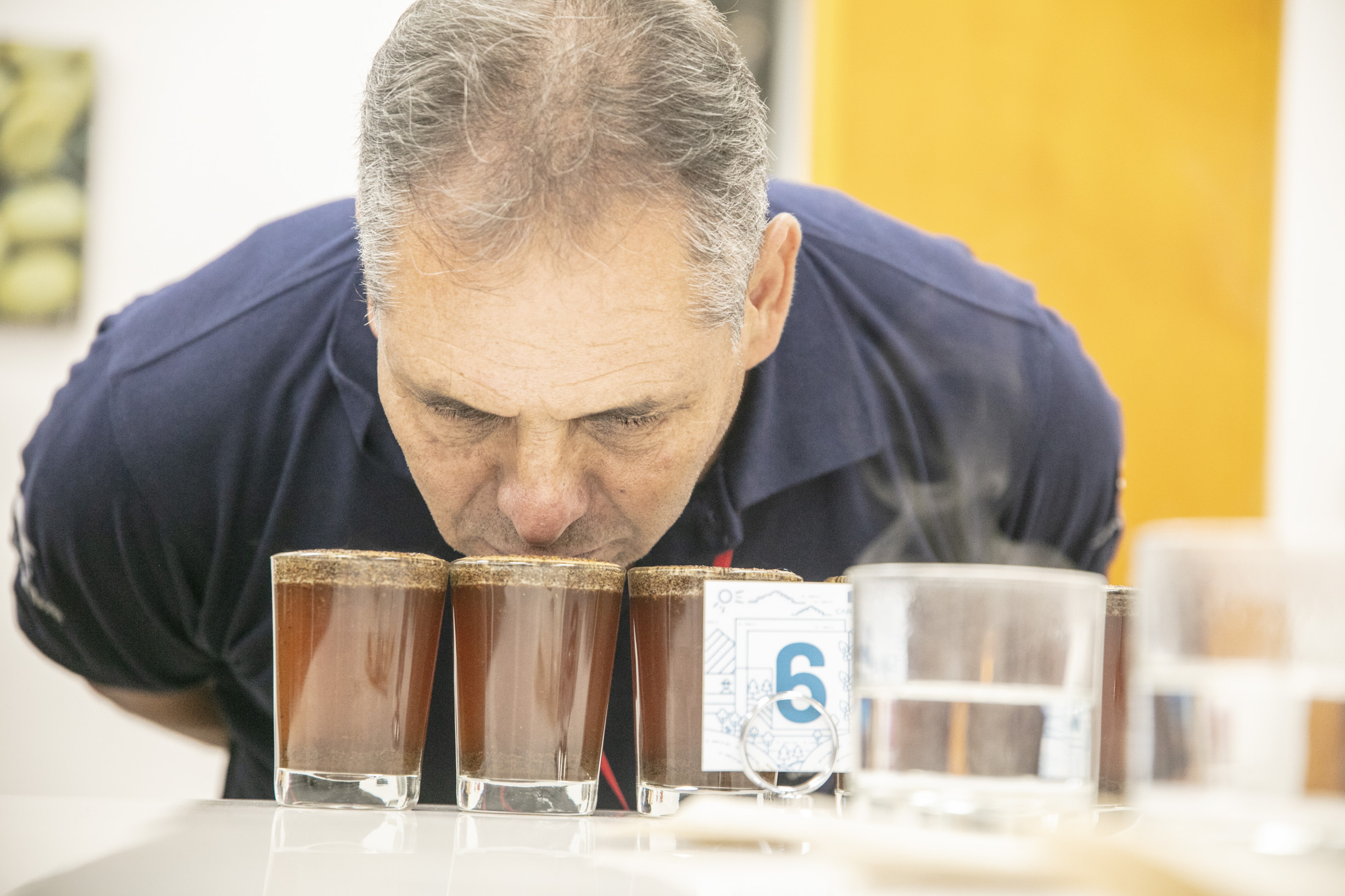 Cupping at Caravela