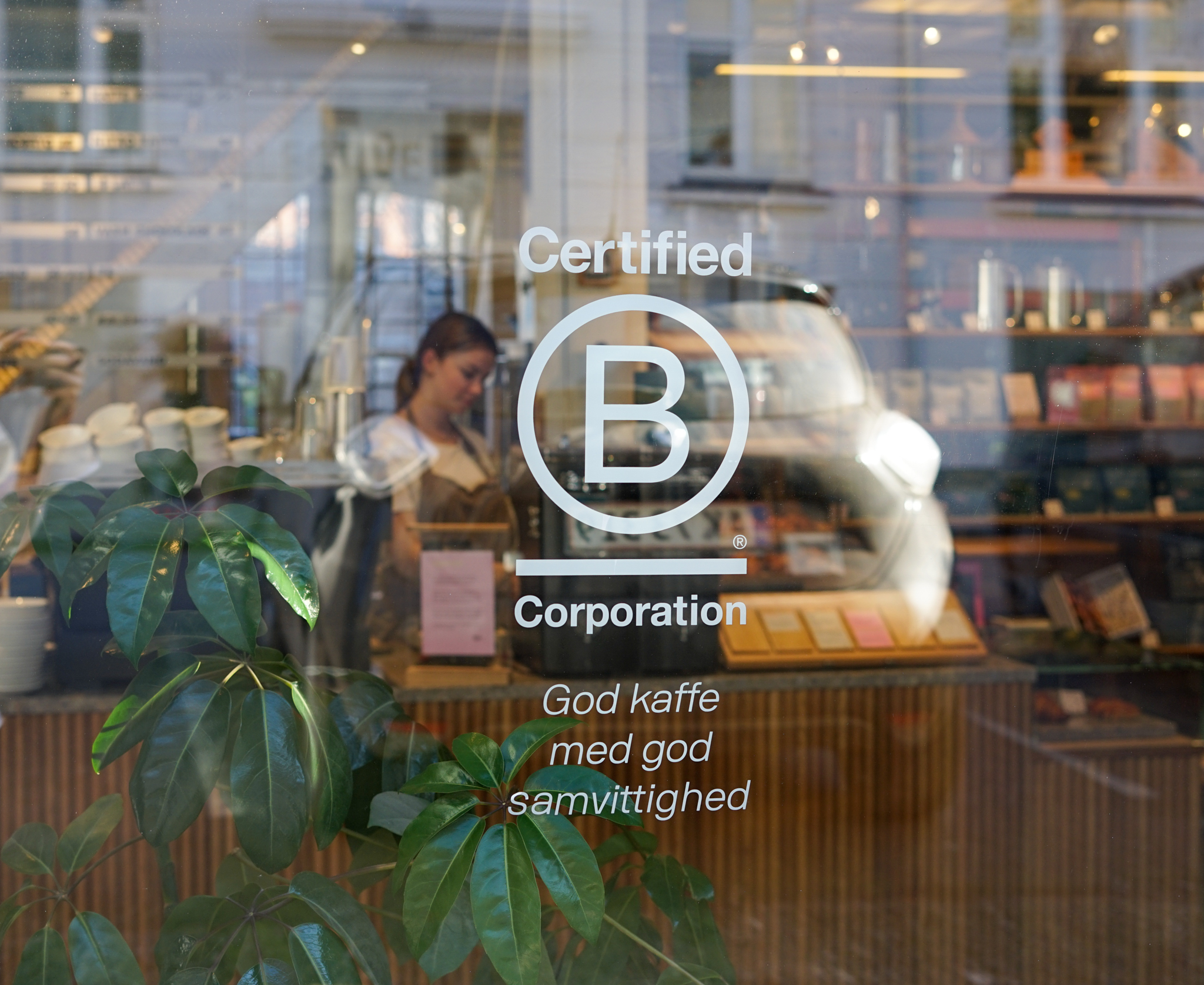 Behind the B | We open the doors during B Corp Month