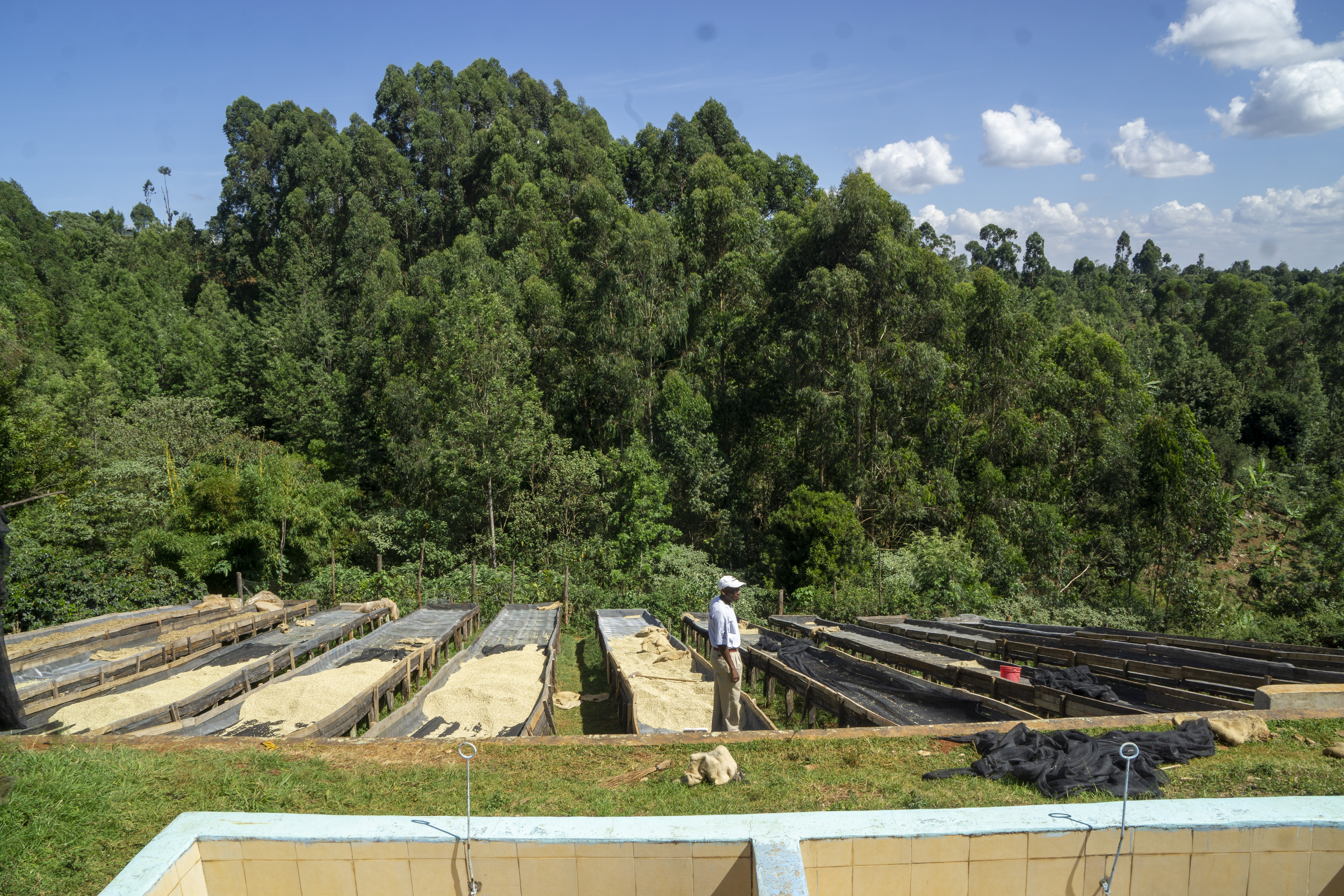 Drying tables at Kiangoi