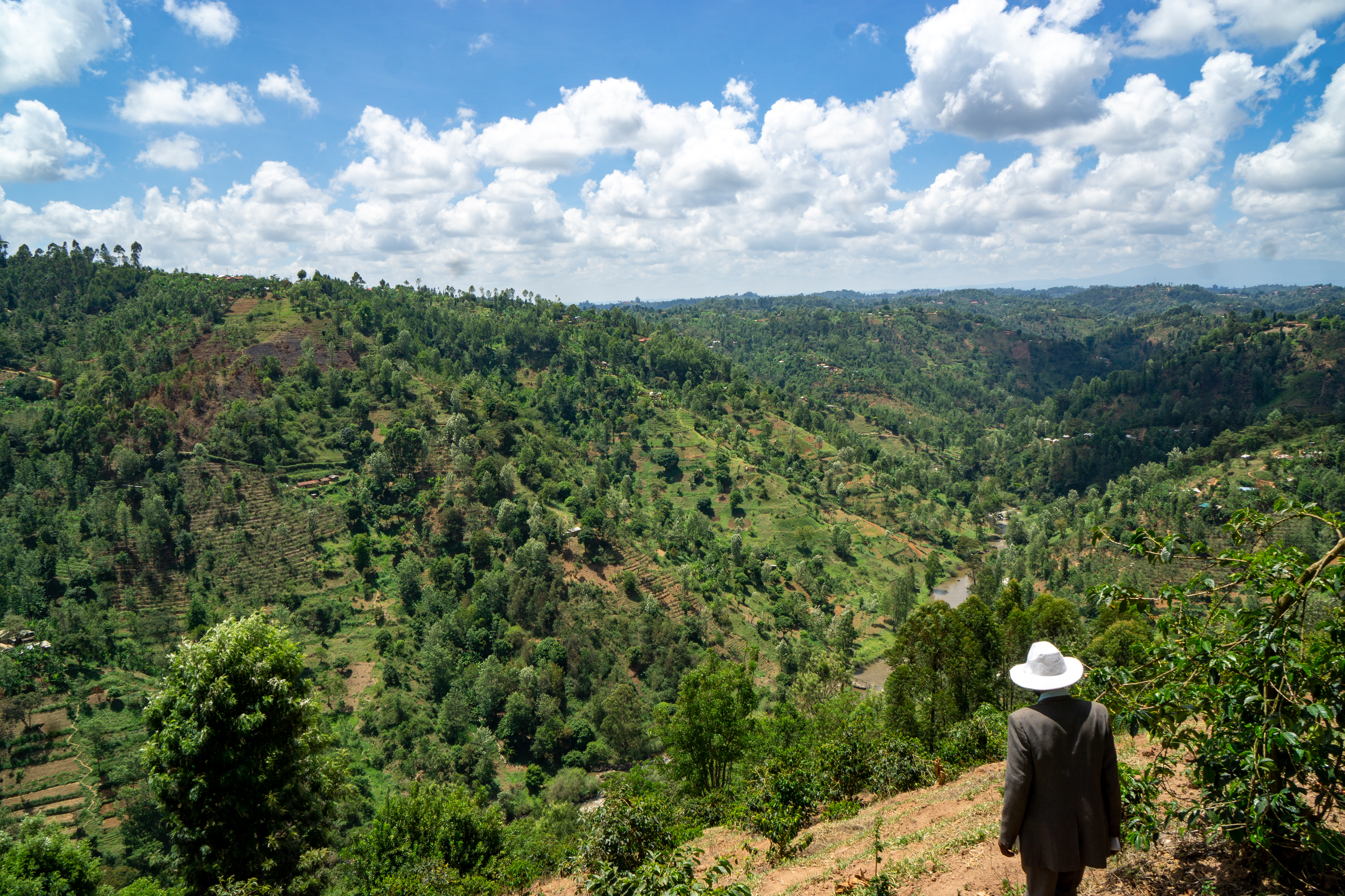 The breathtaking view of the landscape near Kieni