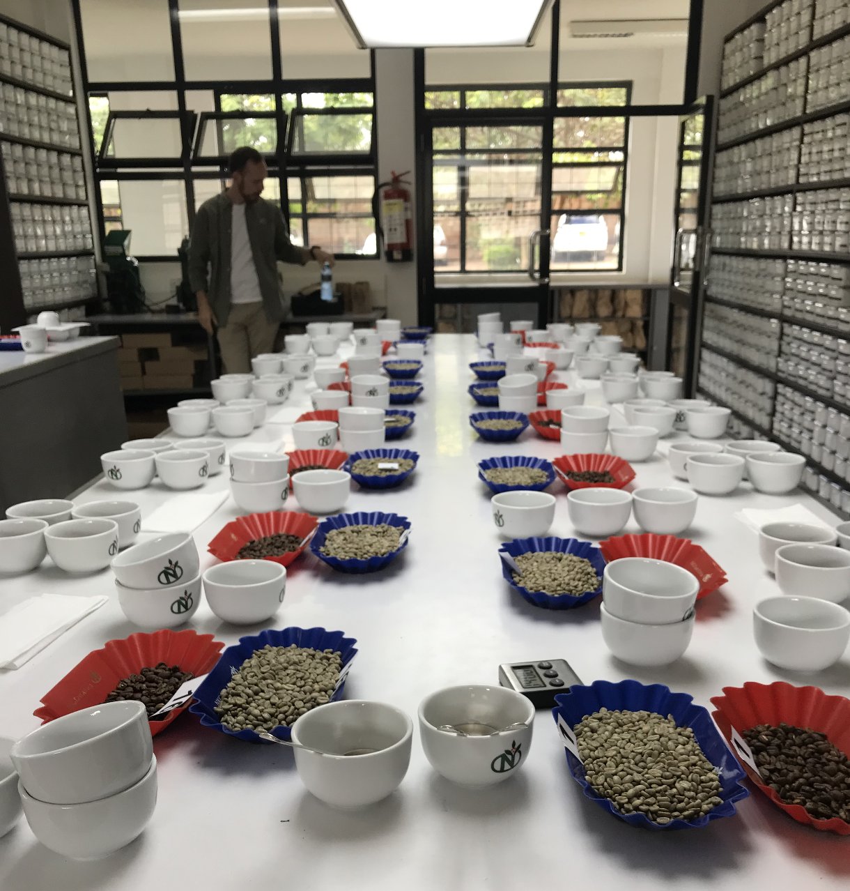 From the cupping at Tropical