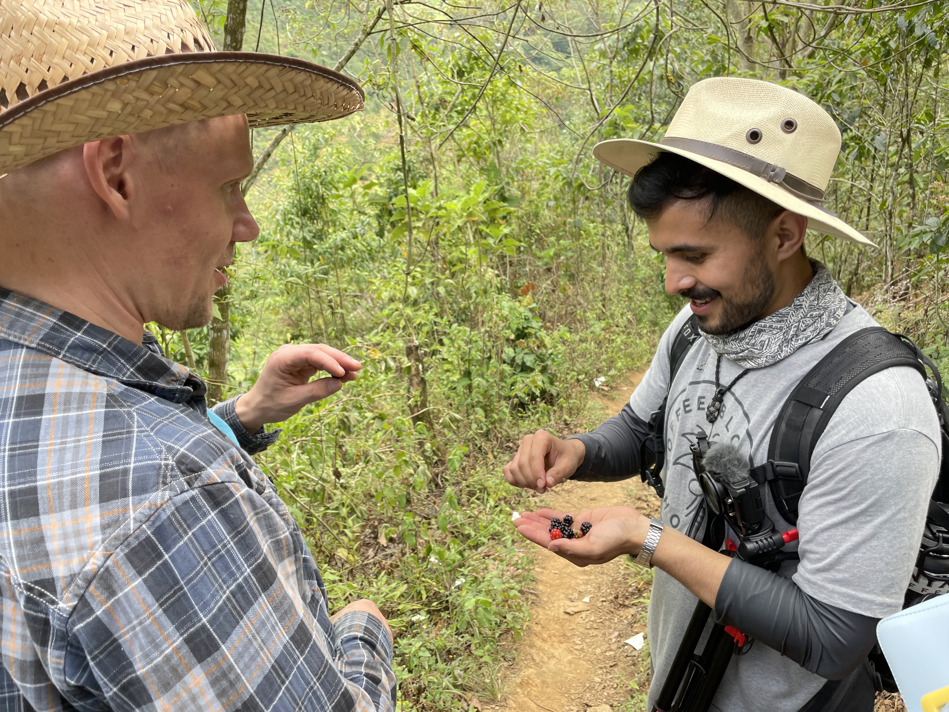 Oscar (right) eating freshly picked blackberries at the coffee farm