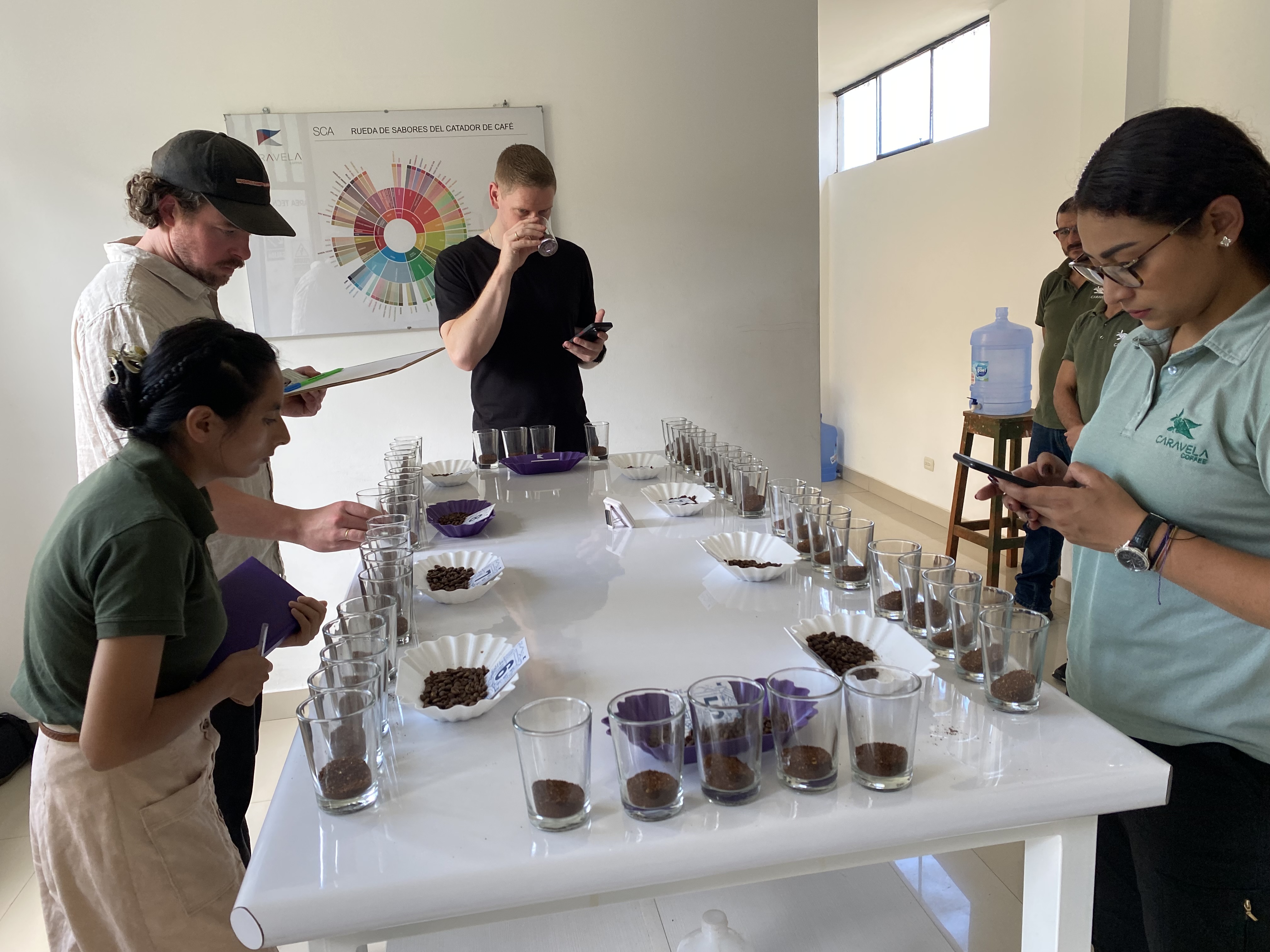 Cupping with the Caravela team