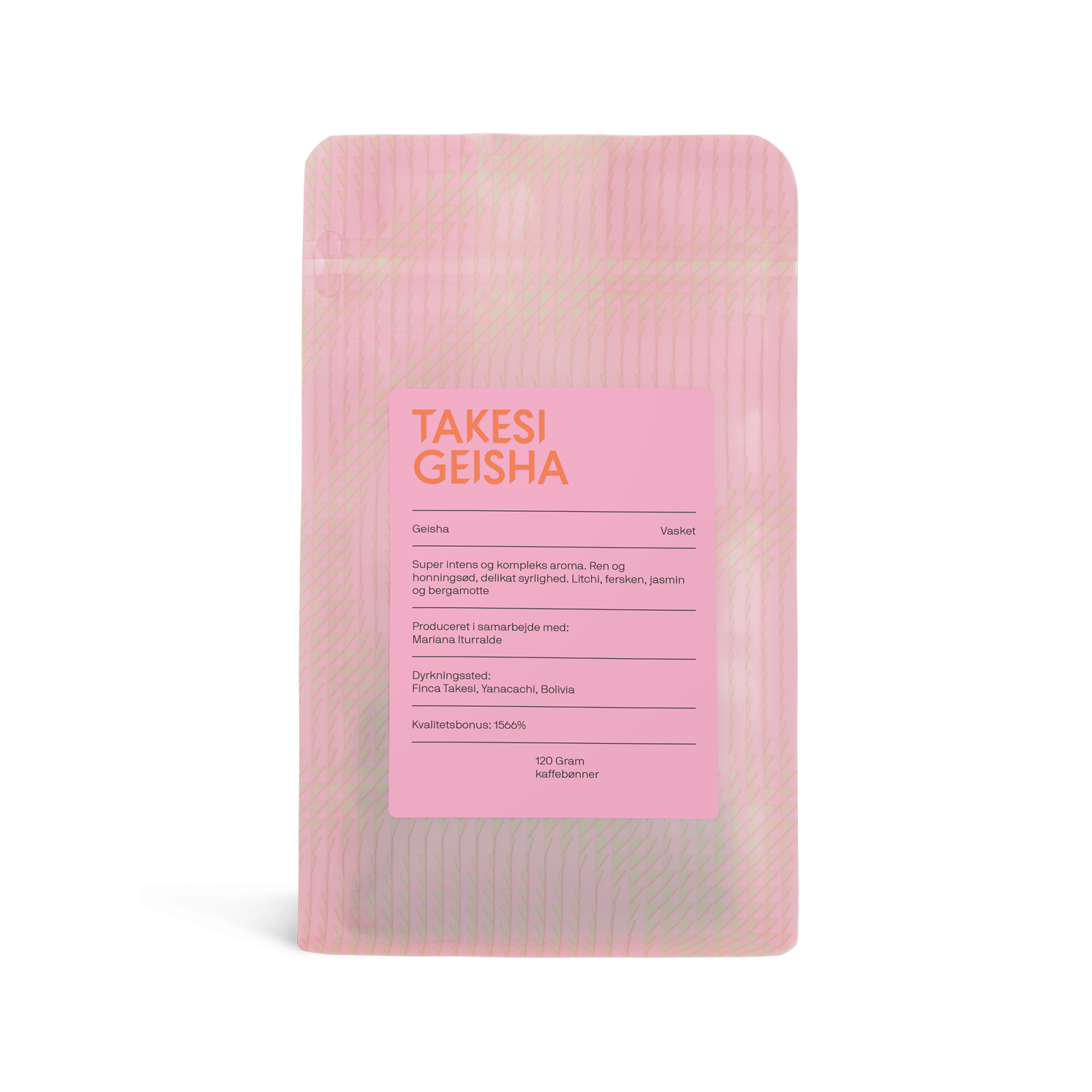 Takesi Geisha