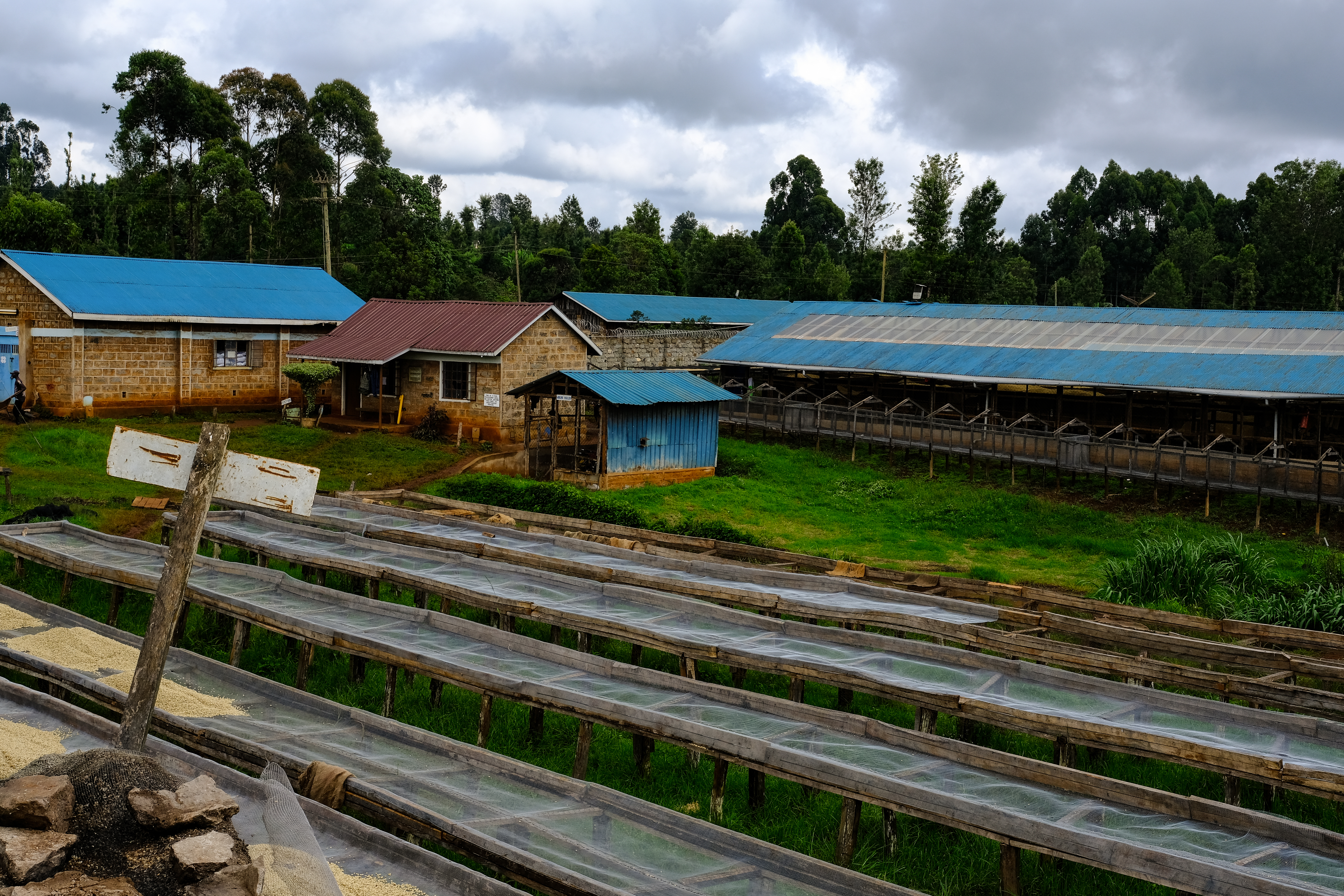 Drying tables at the Kii Factory