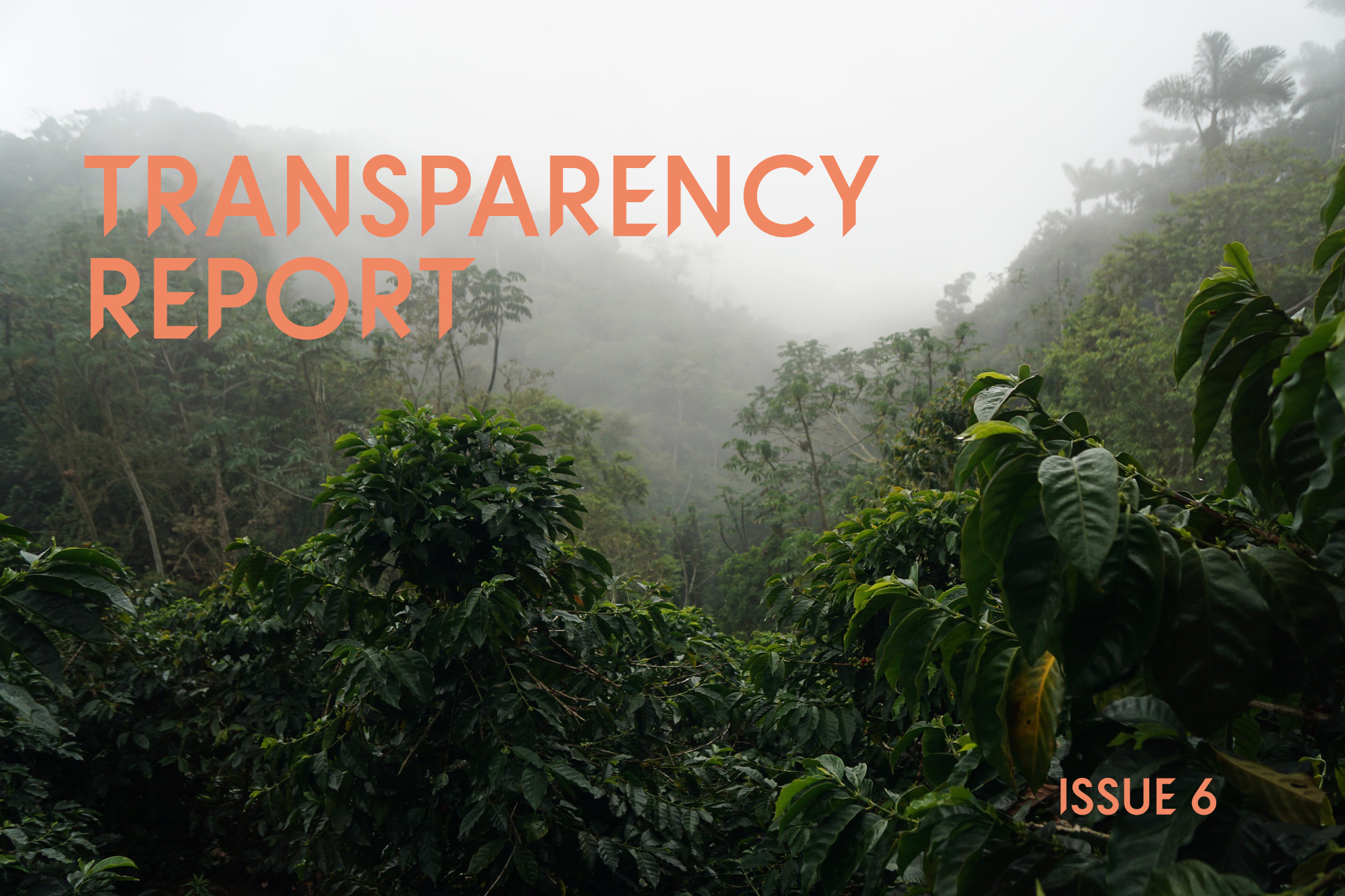 Our latest issue of Transparency Report if here!