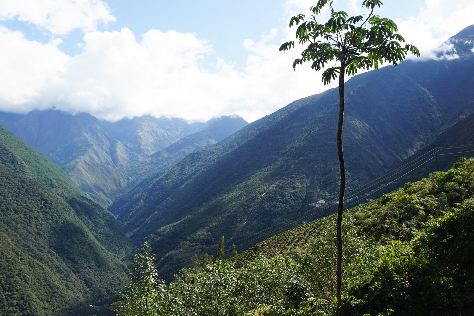 View from the Takes farm in Bolivia