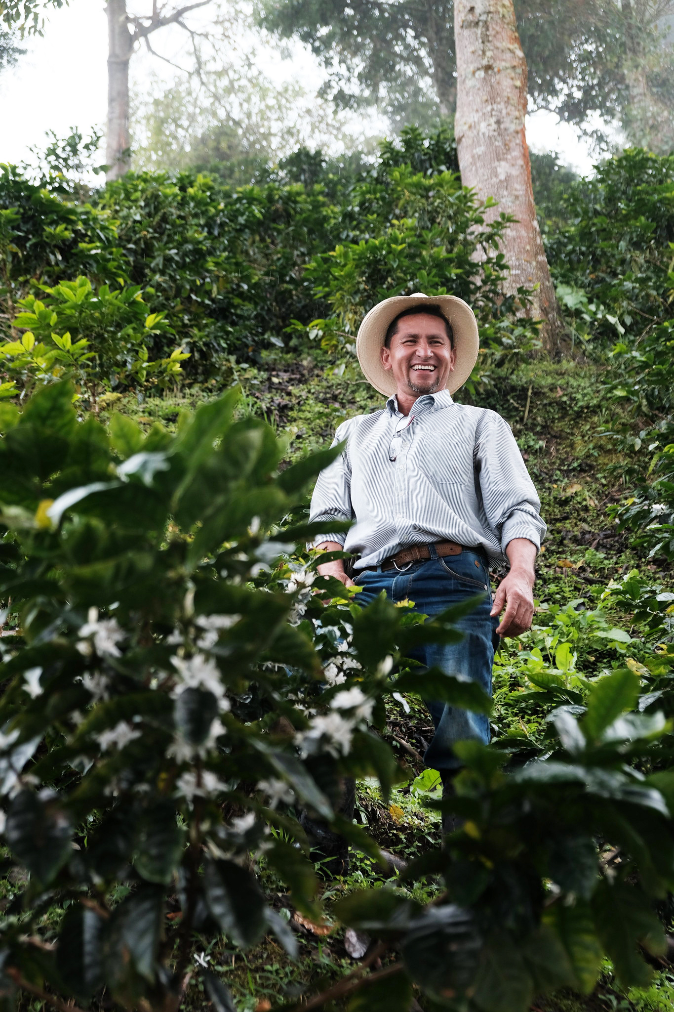 Elver Aldana at his coffee farm in Colombia
