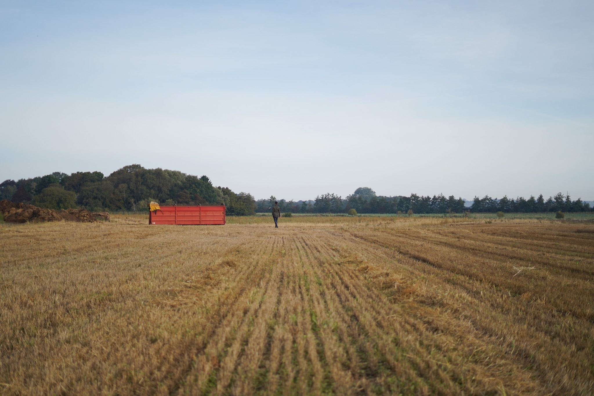 The farmland used to serve as a monoculture cropland