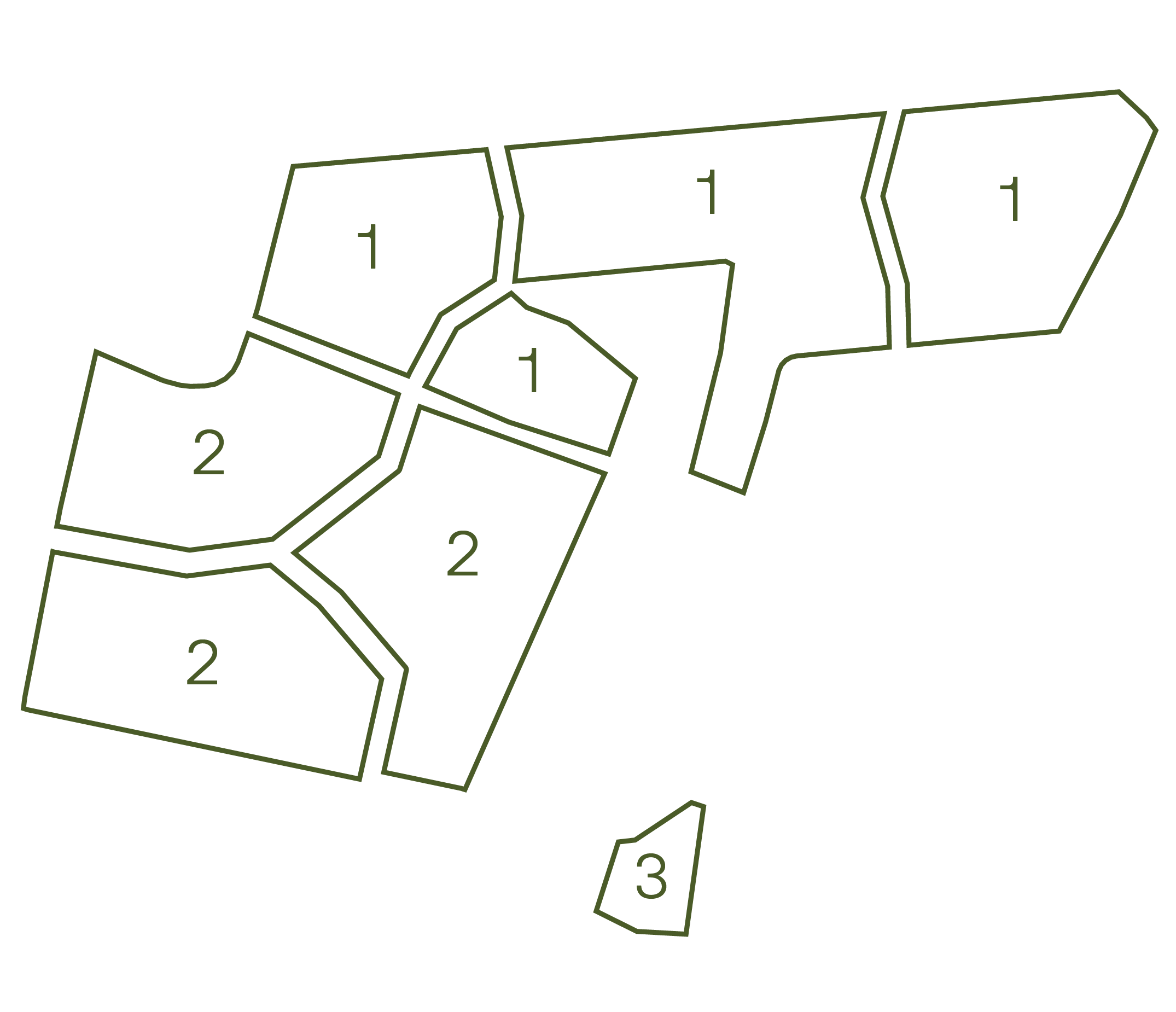 Collective Forest divided in to three areas