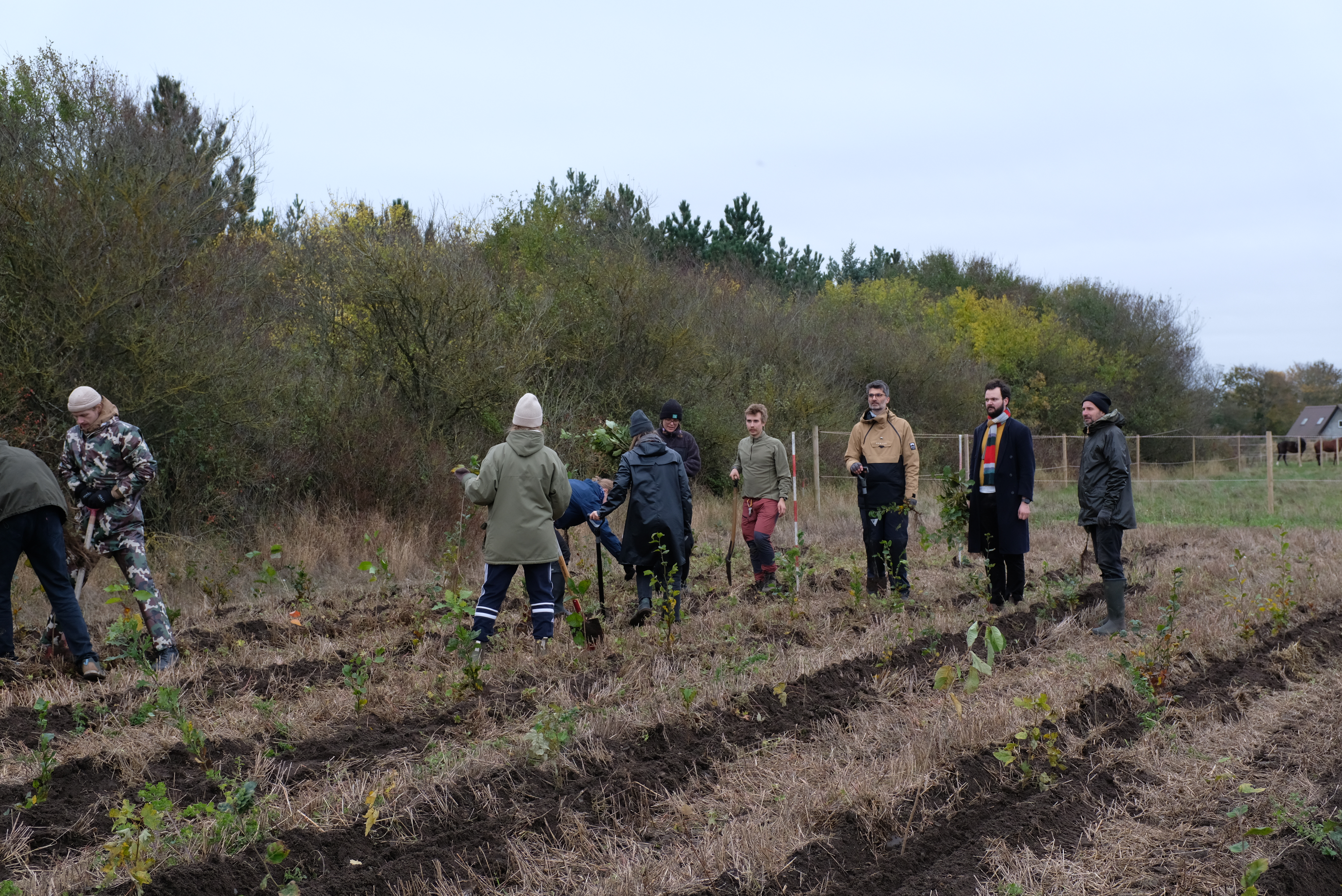 Planting trees