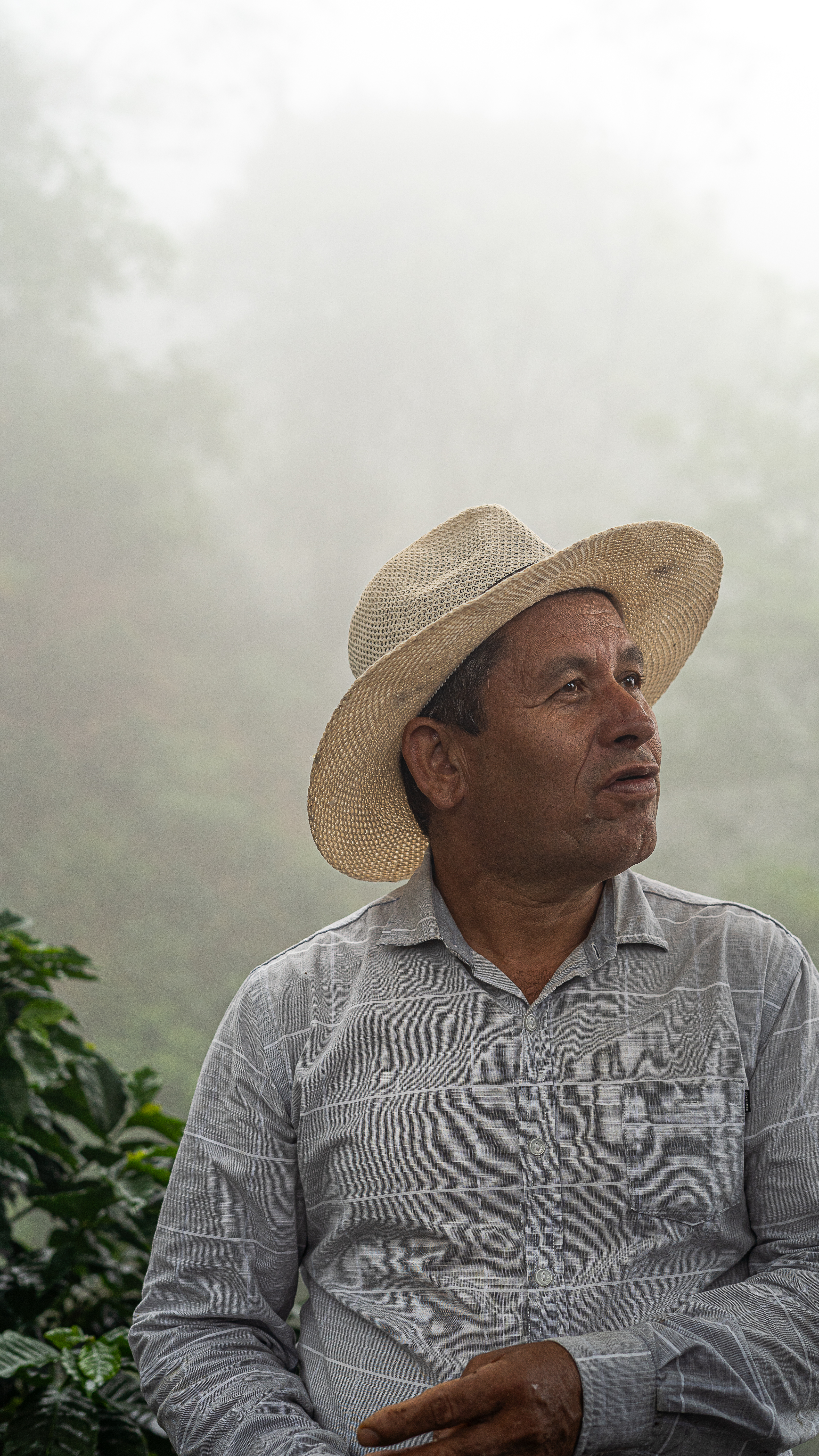 The coffee from Duver Rojas is the first coffee will taste in the Advent Calendar