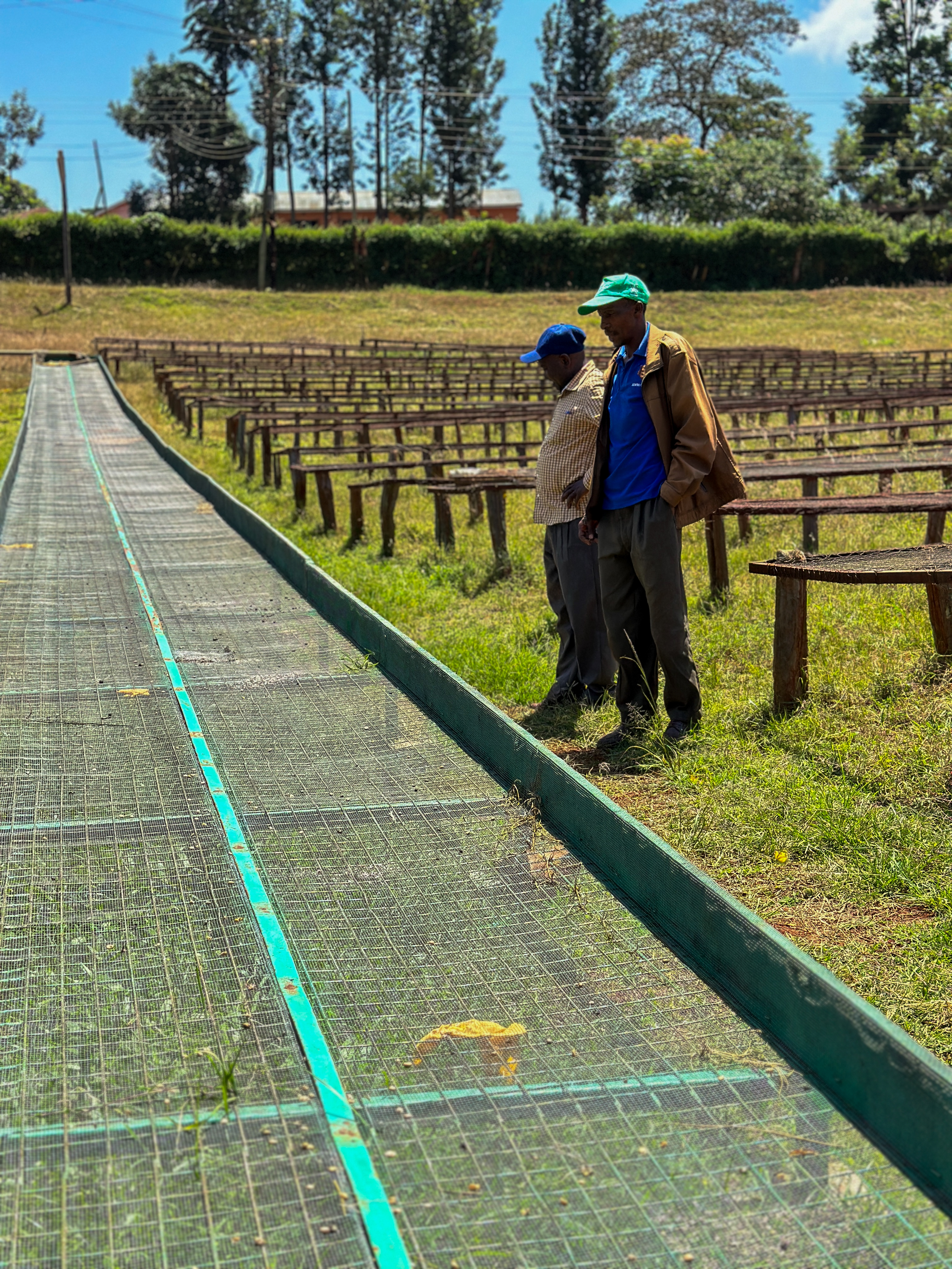 New skin drying table at Kieni with manager Patrick and chairman Charles