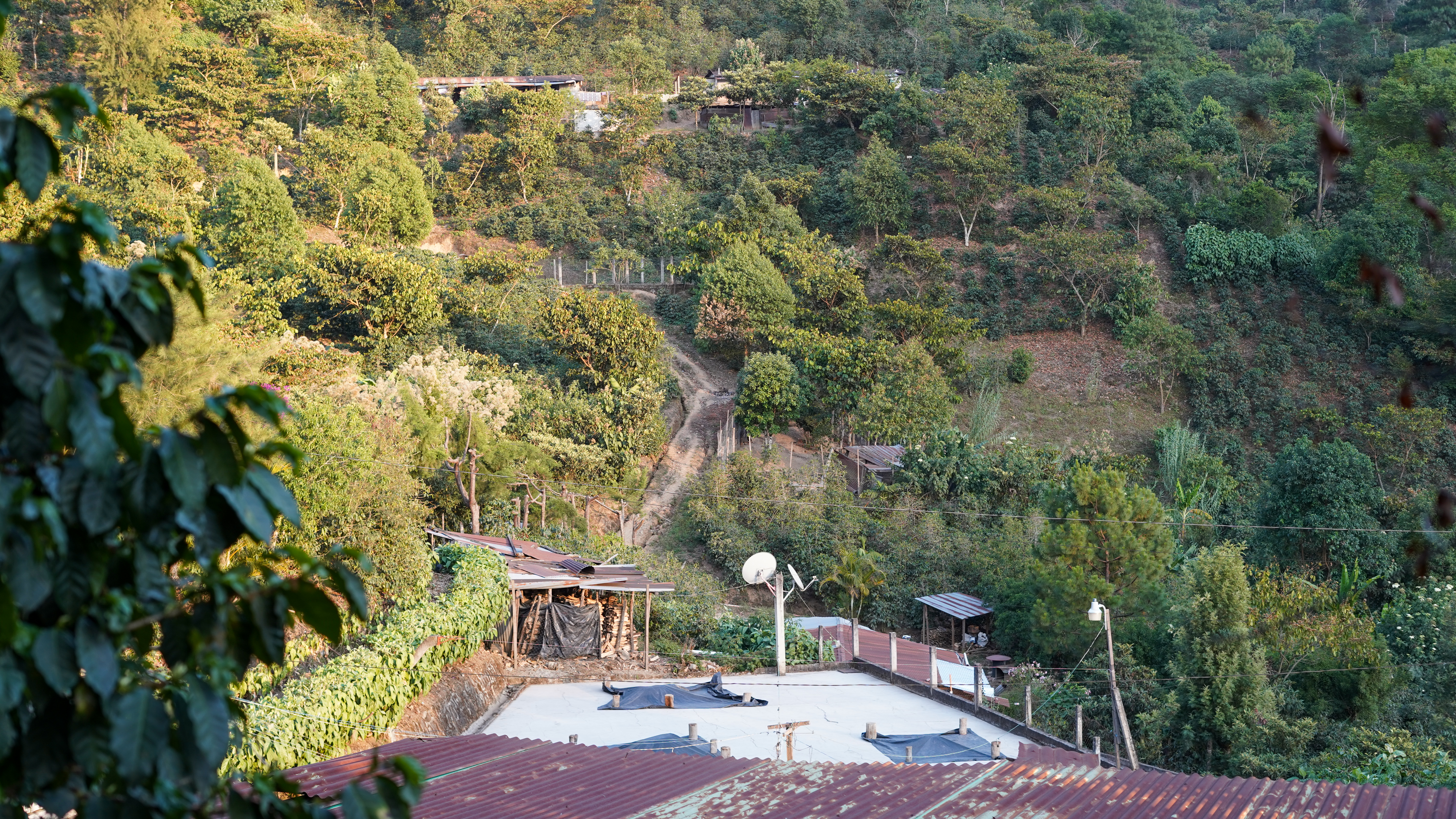 The view from the farm