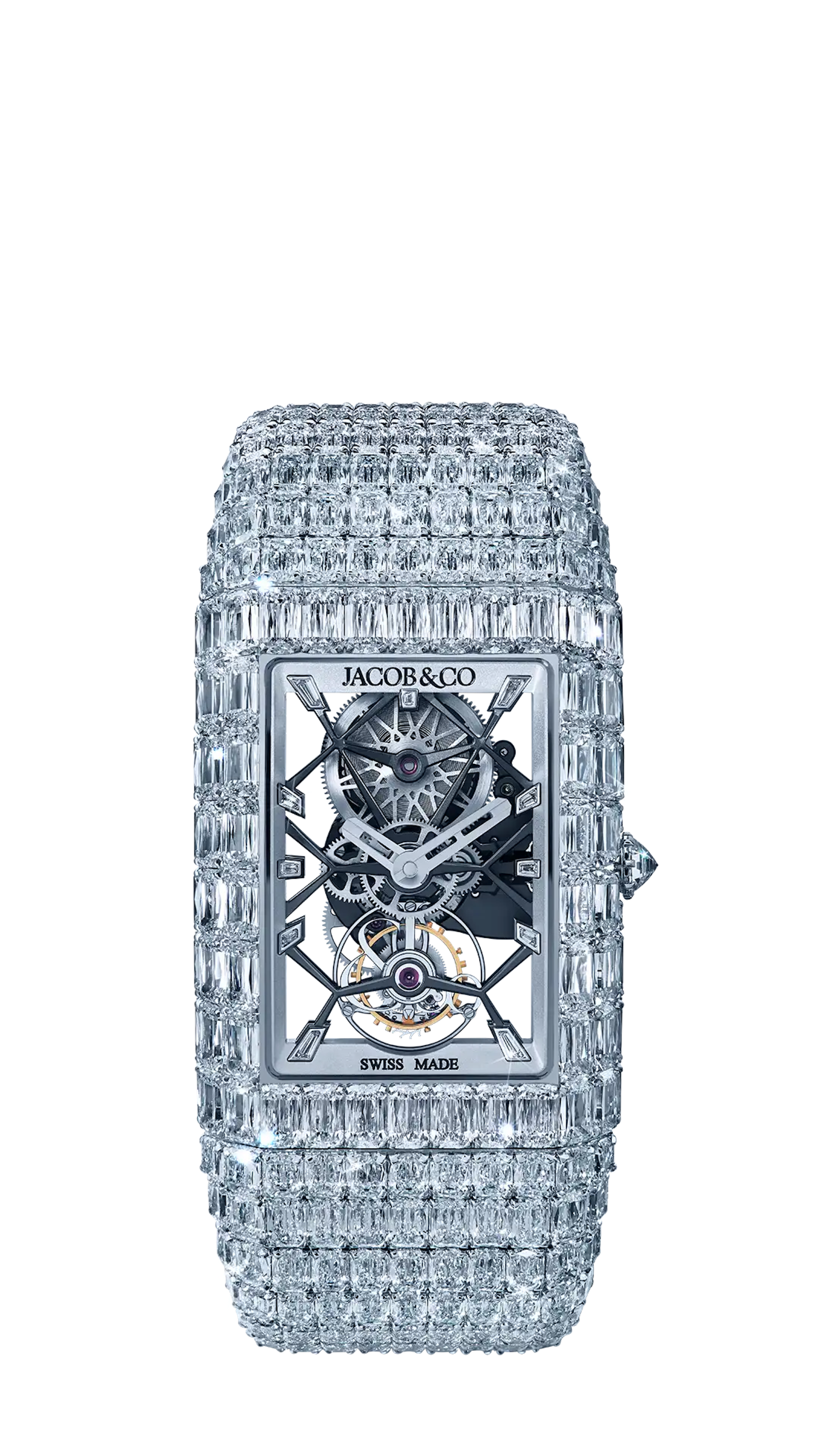Billionaire Mini Ashoka