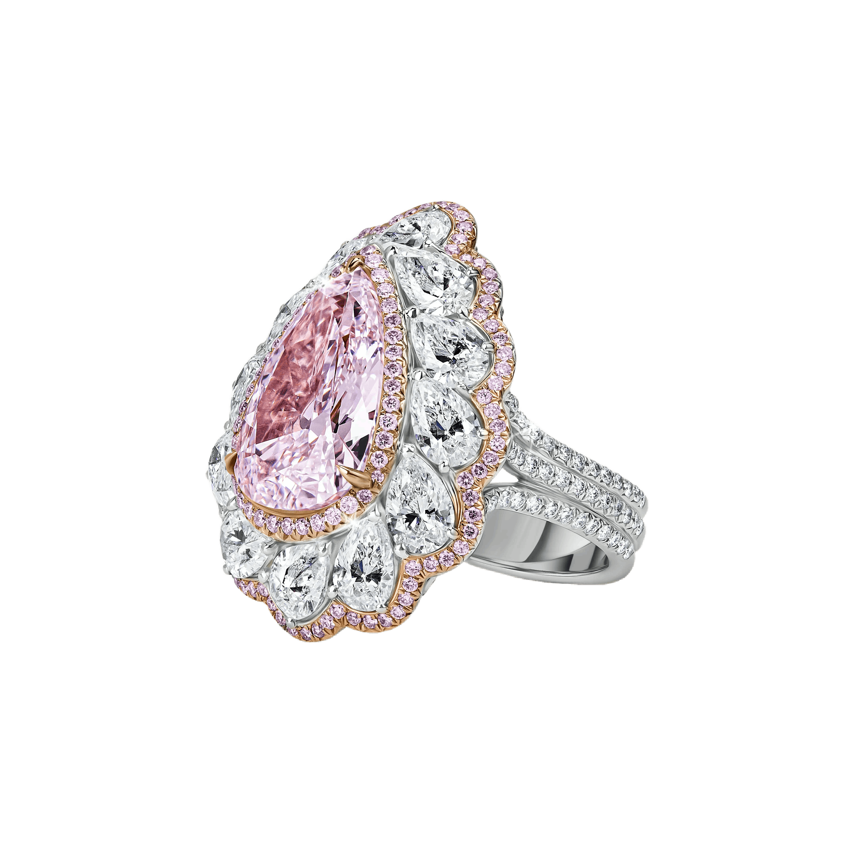 the rose of enchantment ring.