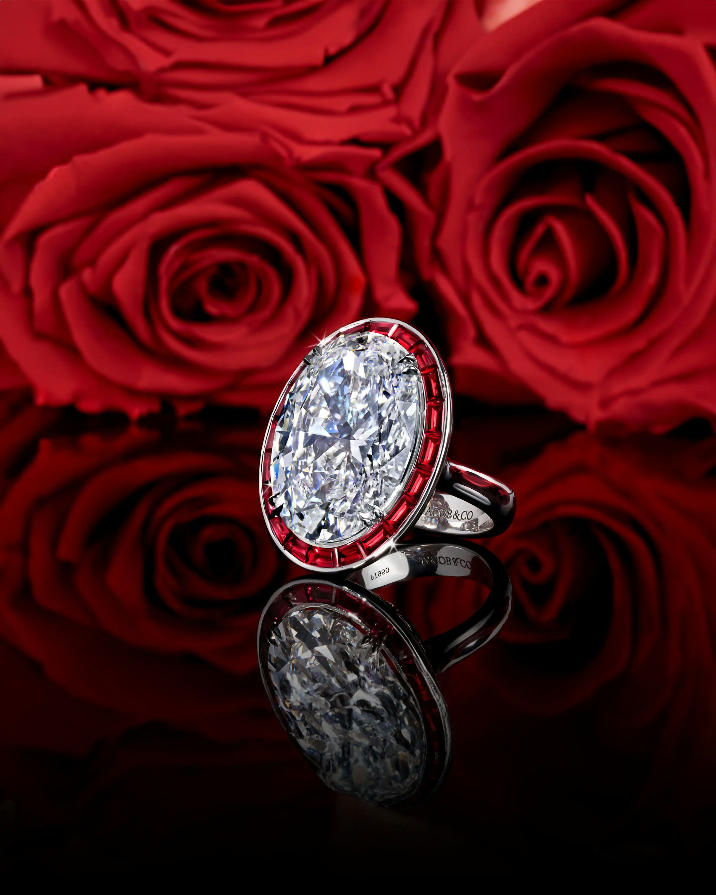 the ring, laid flat on a reflective surface, in front of a wall of roses
