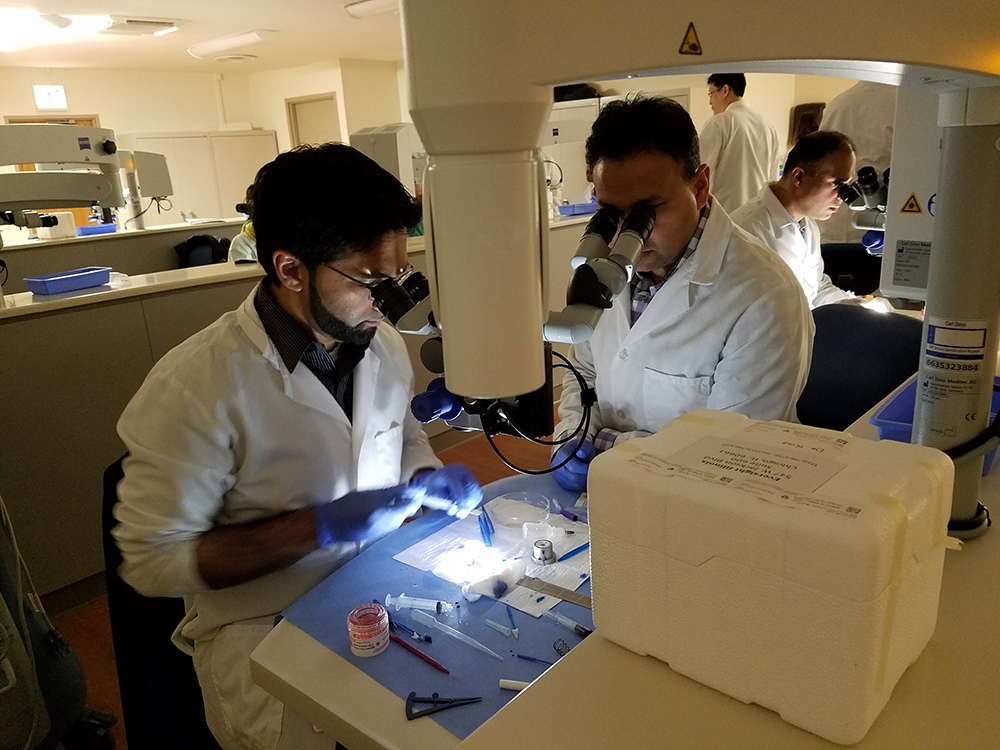 Dr. Majmudar Looking Through Microscope