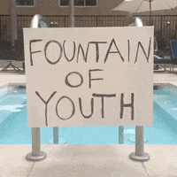 Fountain Of Youth GIF