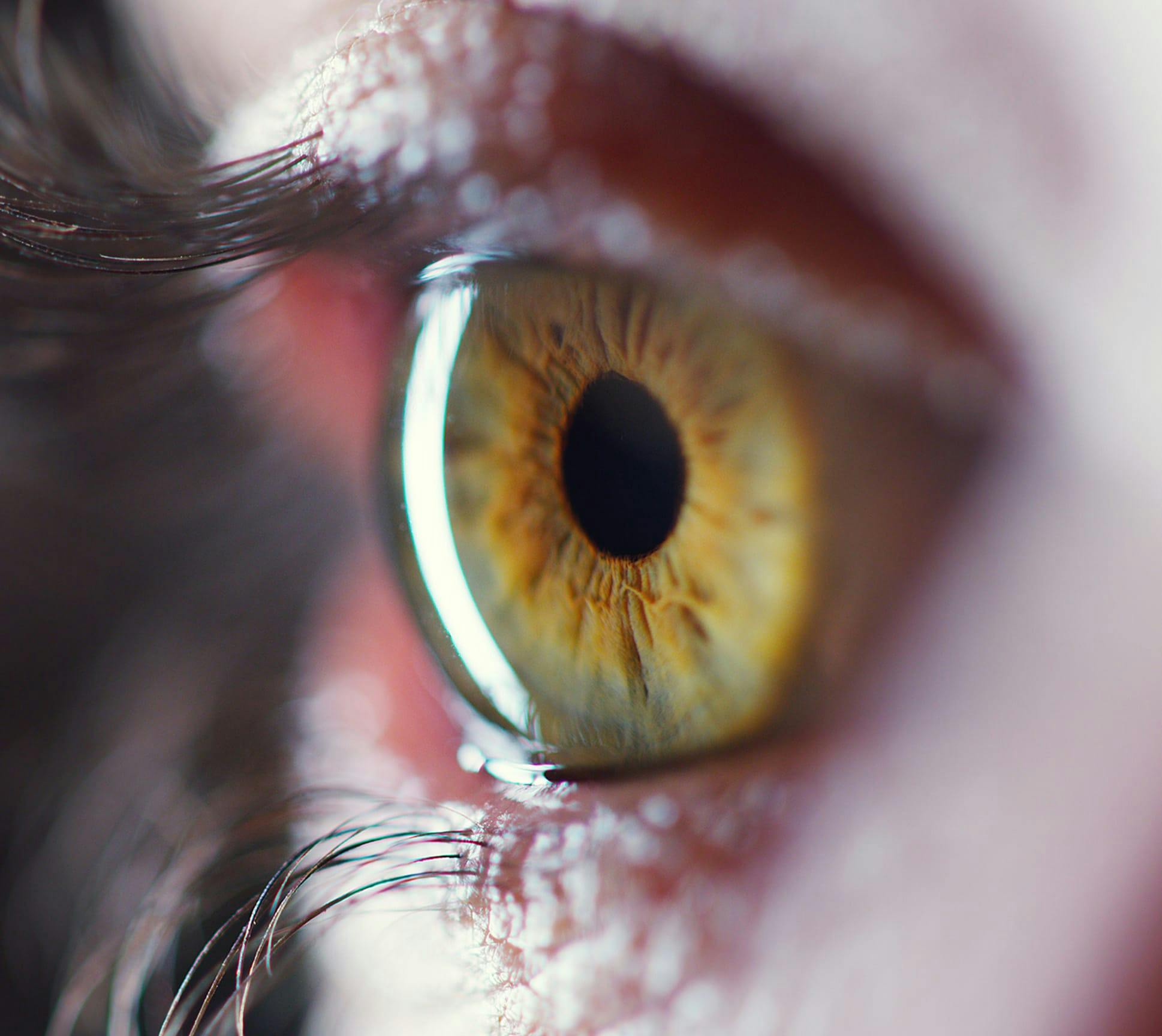 Green eye