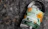 Thumbnail for overhead-shot-of-archie-rose-sunrise-lime-gin-harvest-2020-front-label-close-up