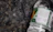 Thumbnail for overhead-shot-of-archie-rose-sunrise-lime-gin-harvest-2020-back-of-label