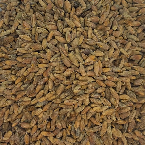 Dry Grown Rye Malt Whisky, Harvest 2019 | Archie Rose Distilling Co.
