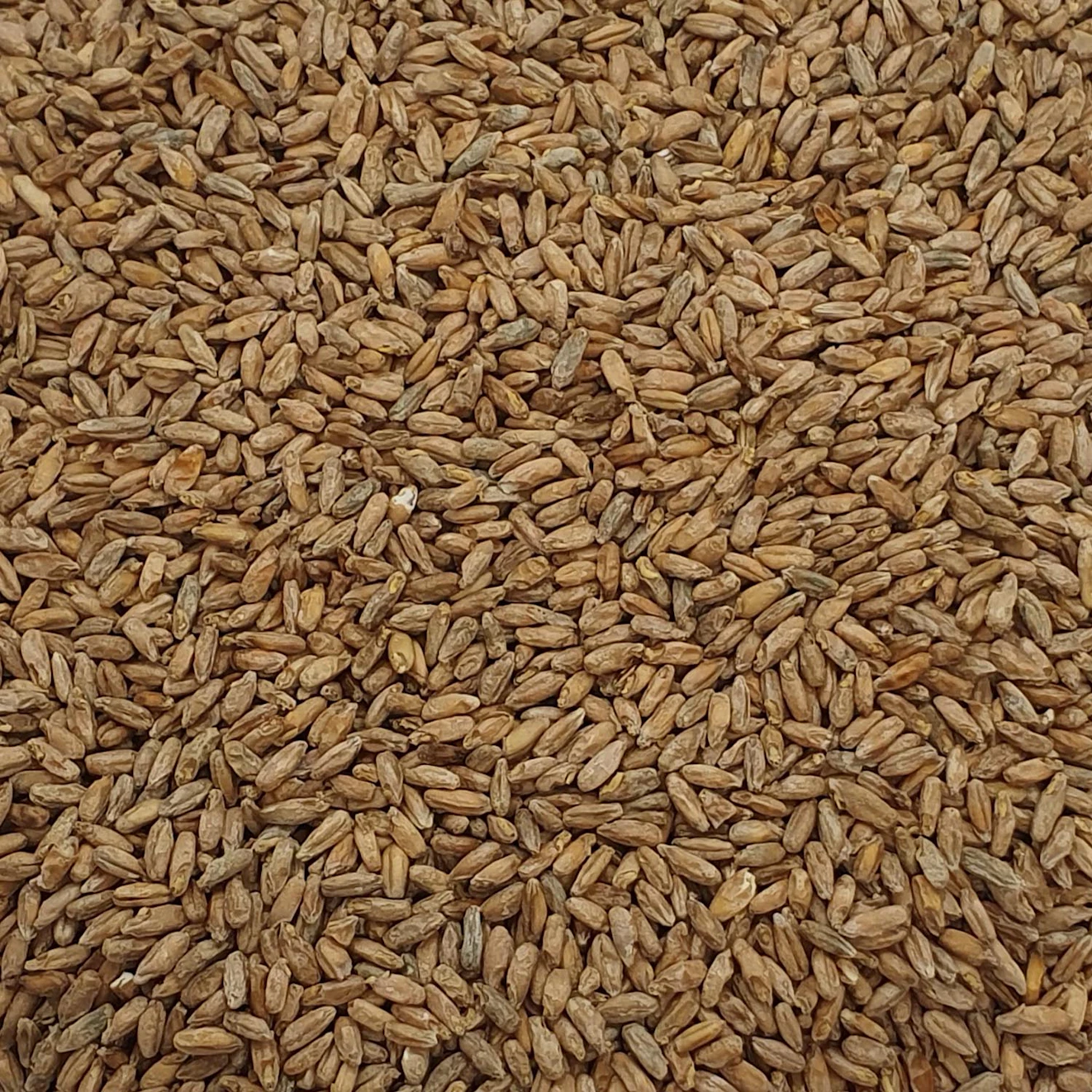 Shop Award Winning Rye Malt Whisky Online | Archie Rose