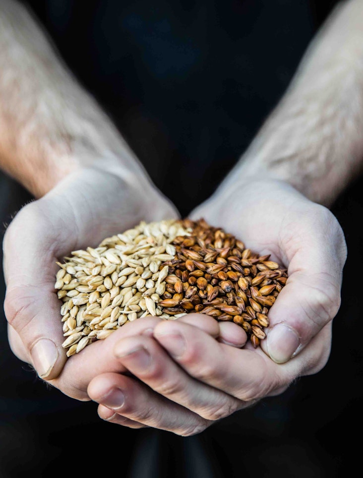 Why we treat our barley differently