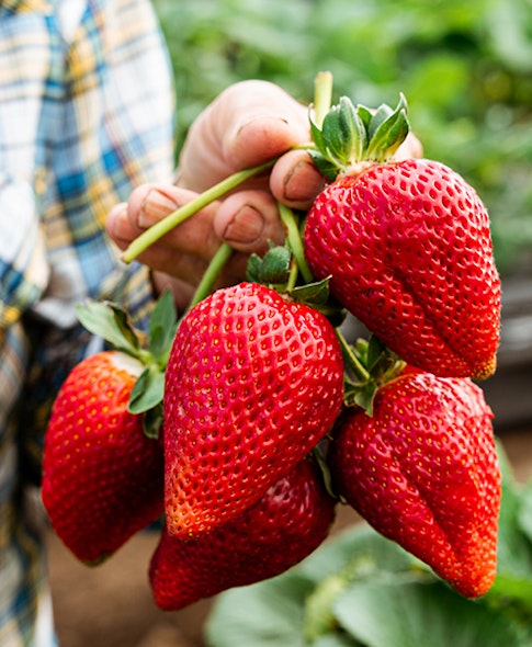 A Gelato Chef and a Distiller Walk Into a Bar