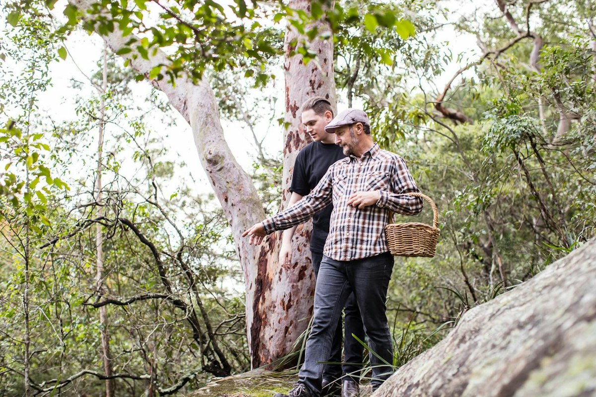 When a Distiller Meets a Professional Forager, Anything Can Happen