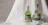 Thumbnail for Lemon Scented Gum Gin & Sunrise Lime Gin