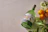 Thumbnail for September Gin