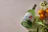 Thumbnail for September Gin