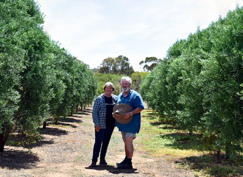 Emerald Finger Lime Gin with Vickie from Marvick Farms