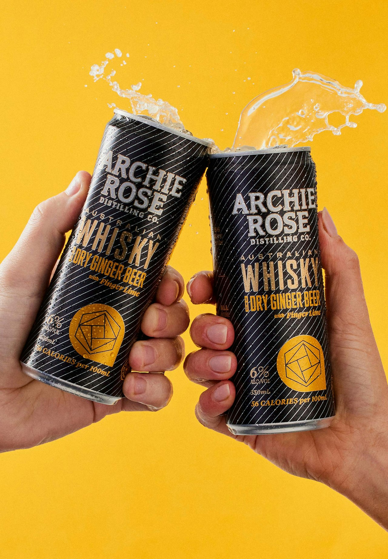 Double Malt and Ginger Beer - 24x330ml