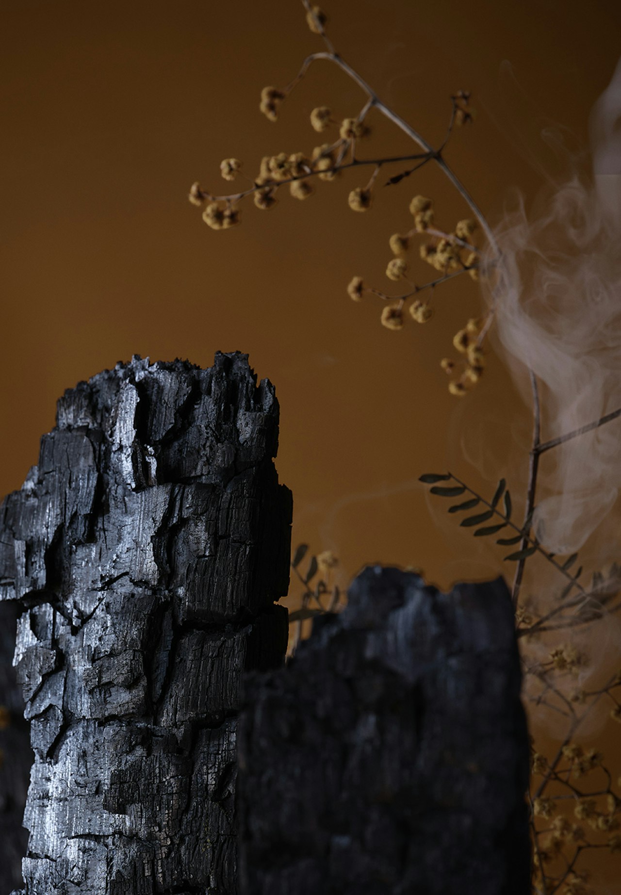 Wattleseed Smoked Cask Single Malt Whisky